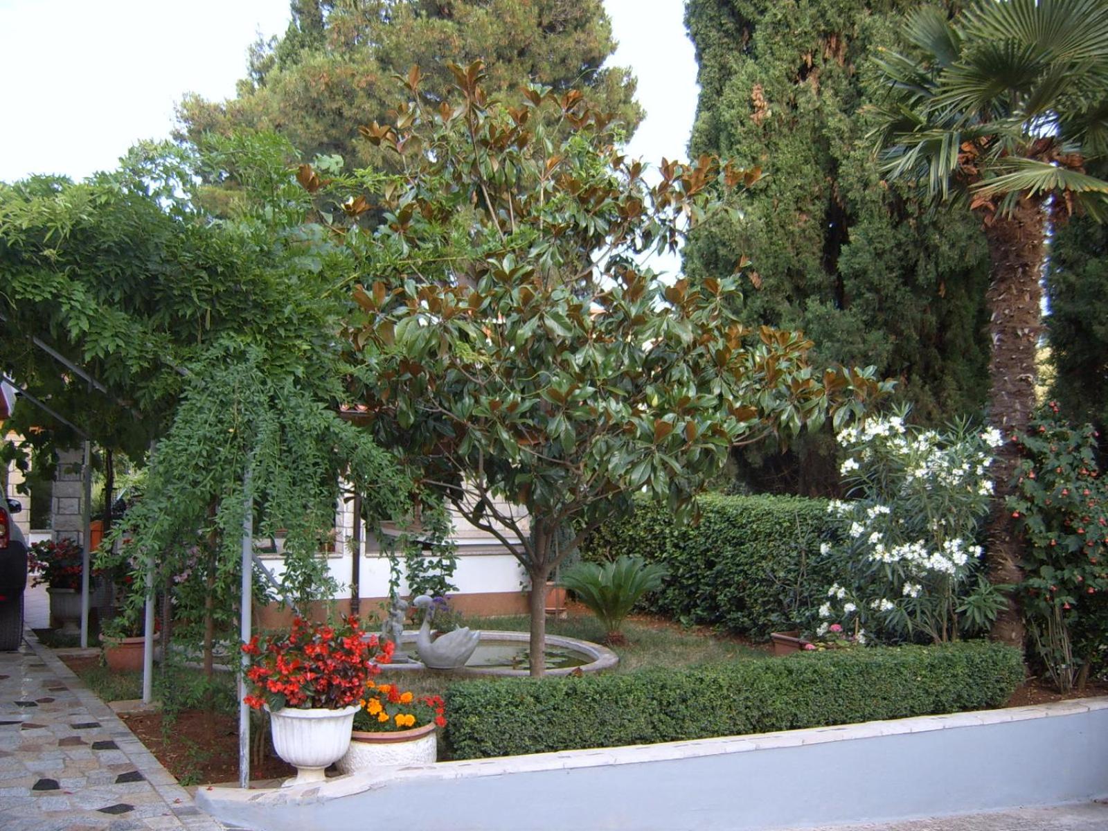 Photo 24