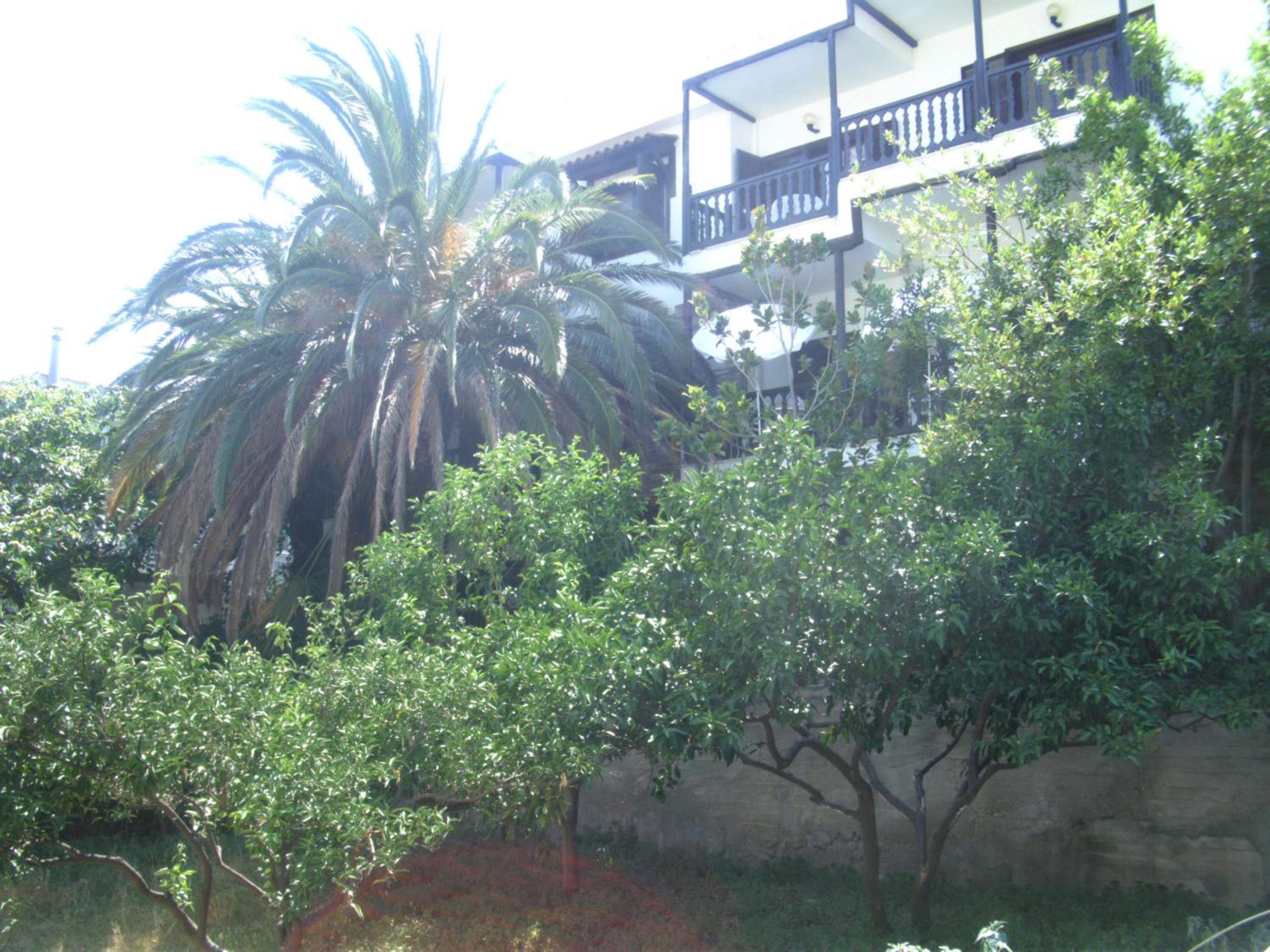 Papatzikos Traditional Guesthouse
