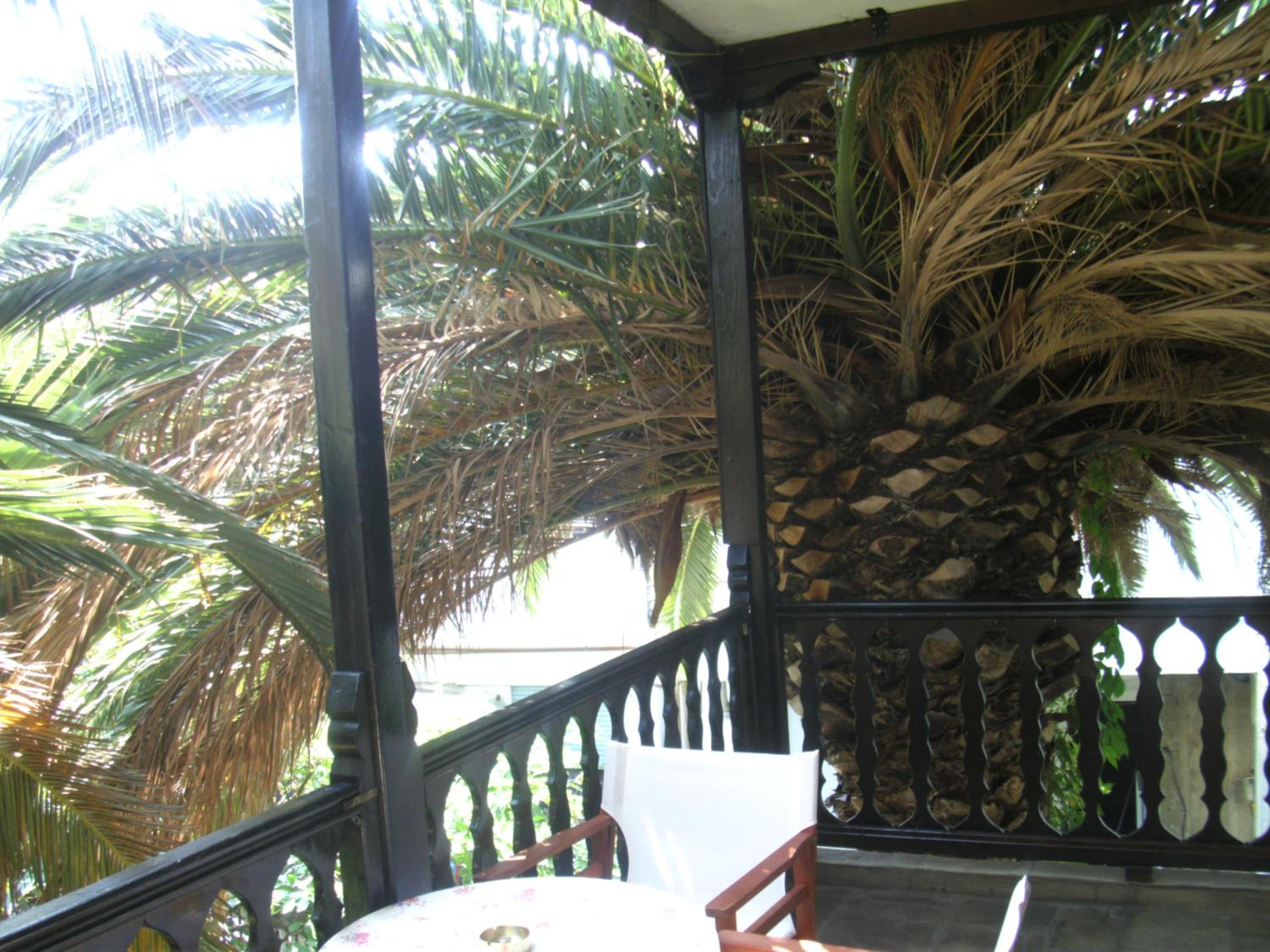 Papatzikos Traditional Guesthouse