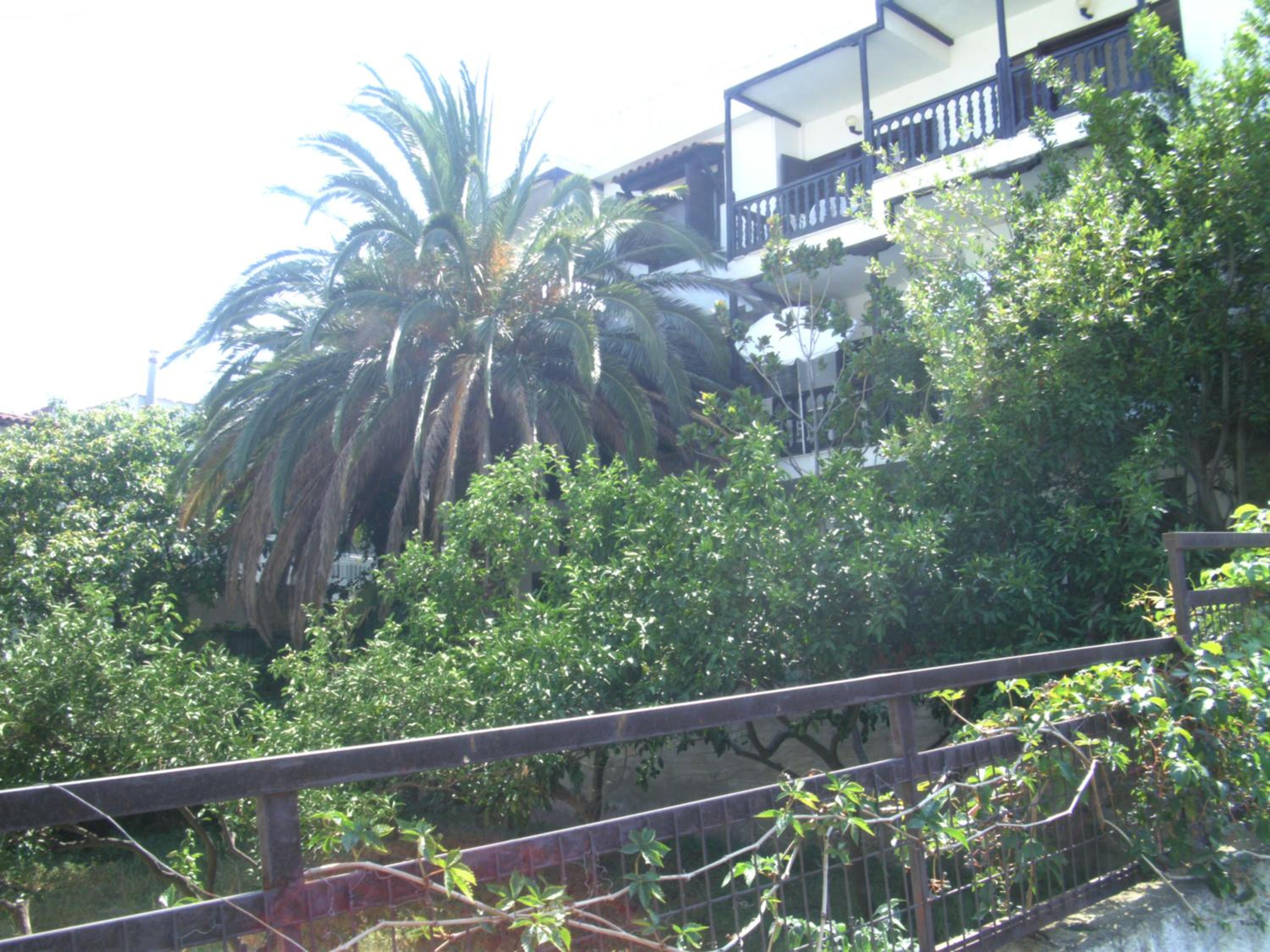 Papatzikos Traditional Guesthouse