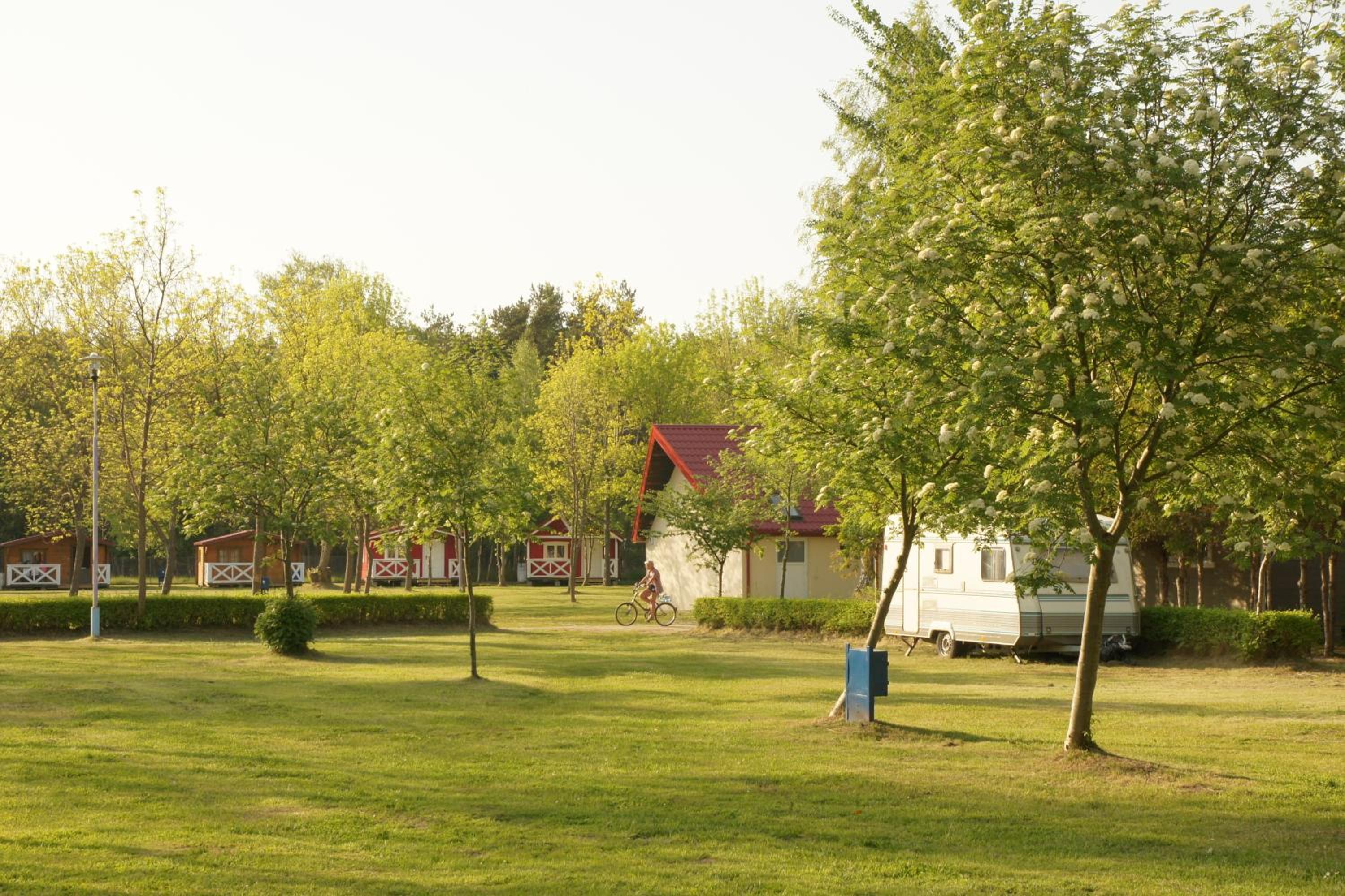 Photo 45