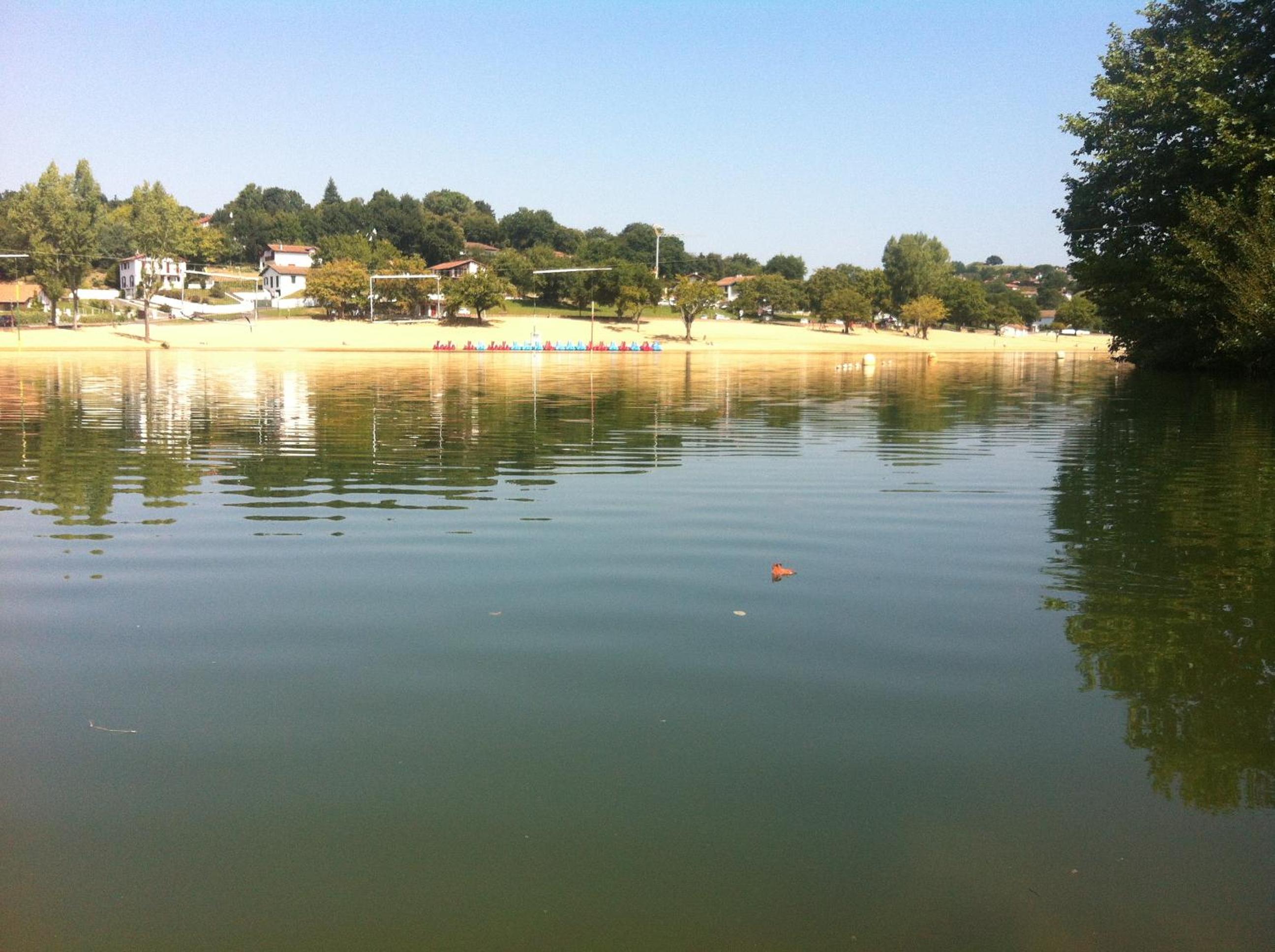 Photo 8
