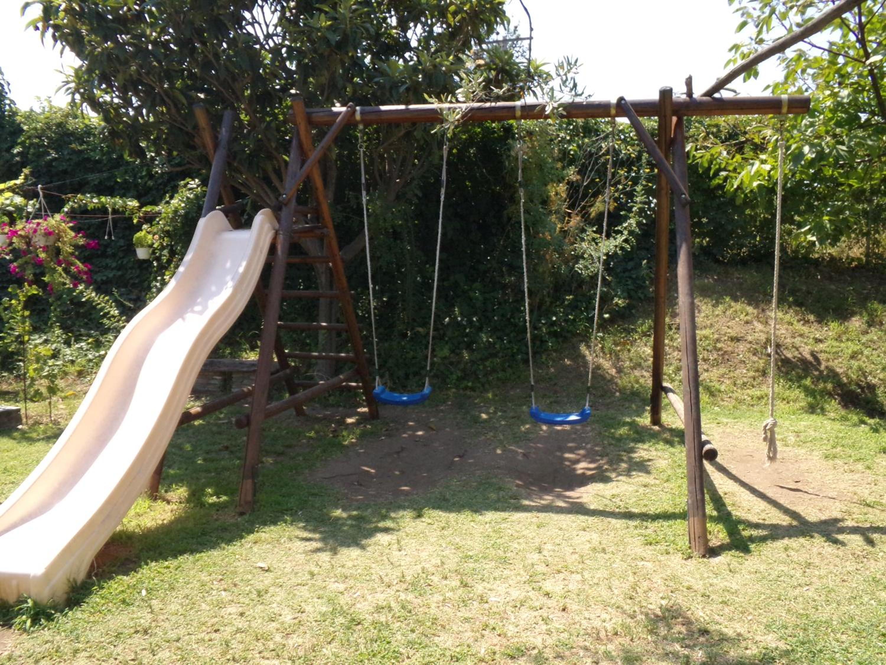Photo 42