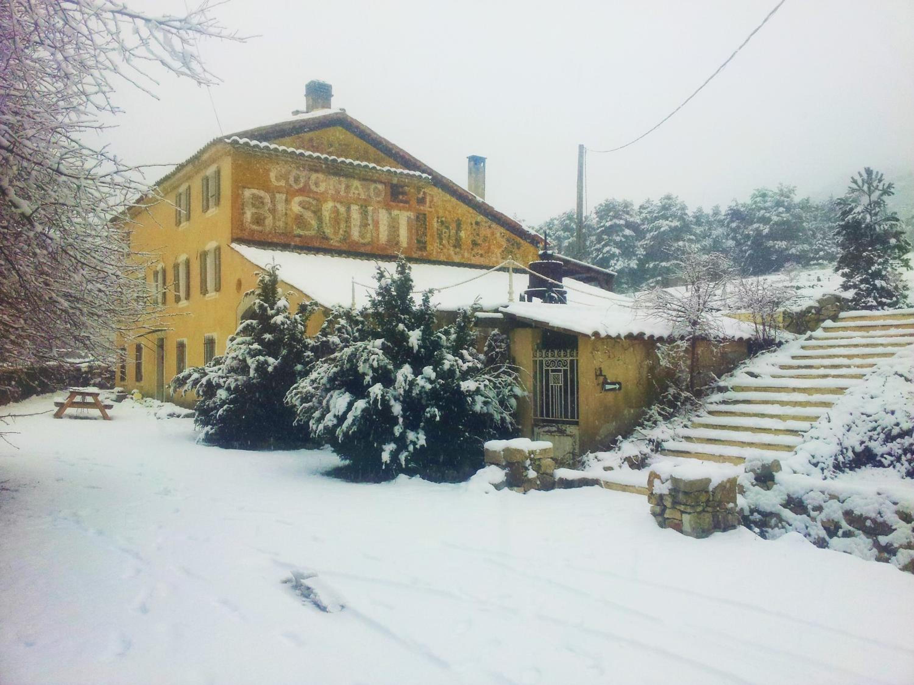 Photo 10