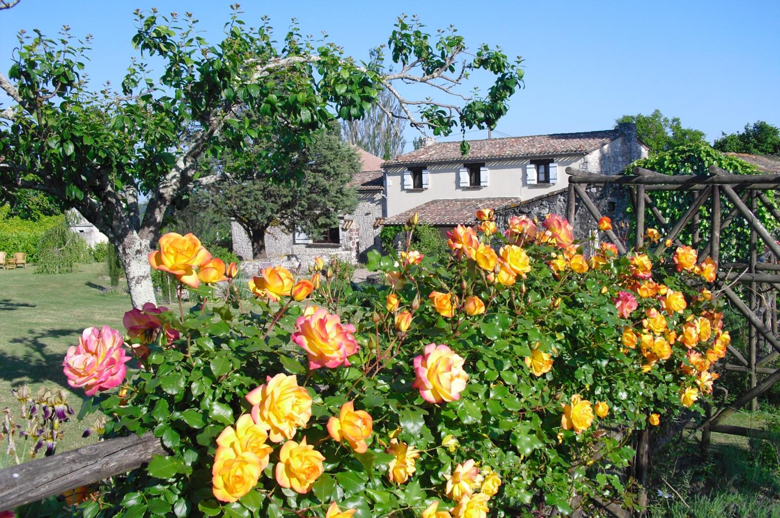 Luxury B&B Maison à votre Santé, in Bordeaux wine region view 3