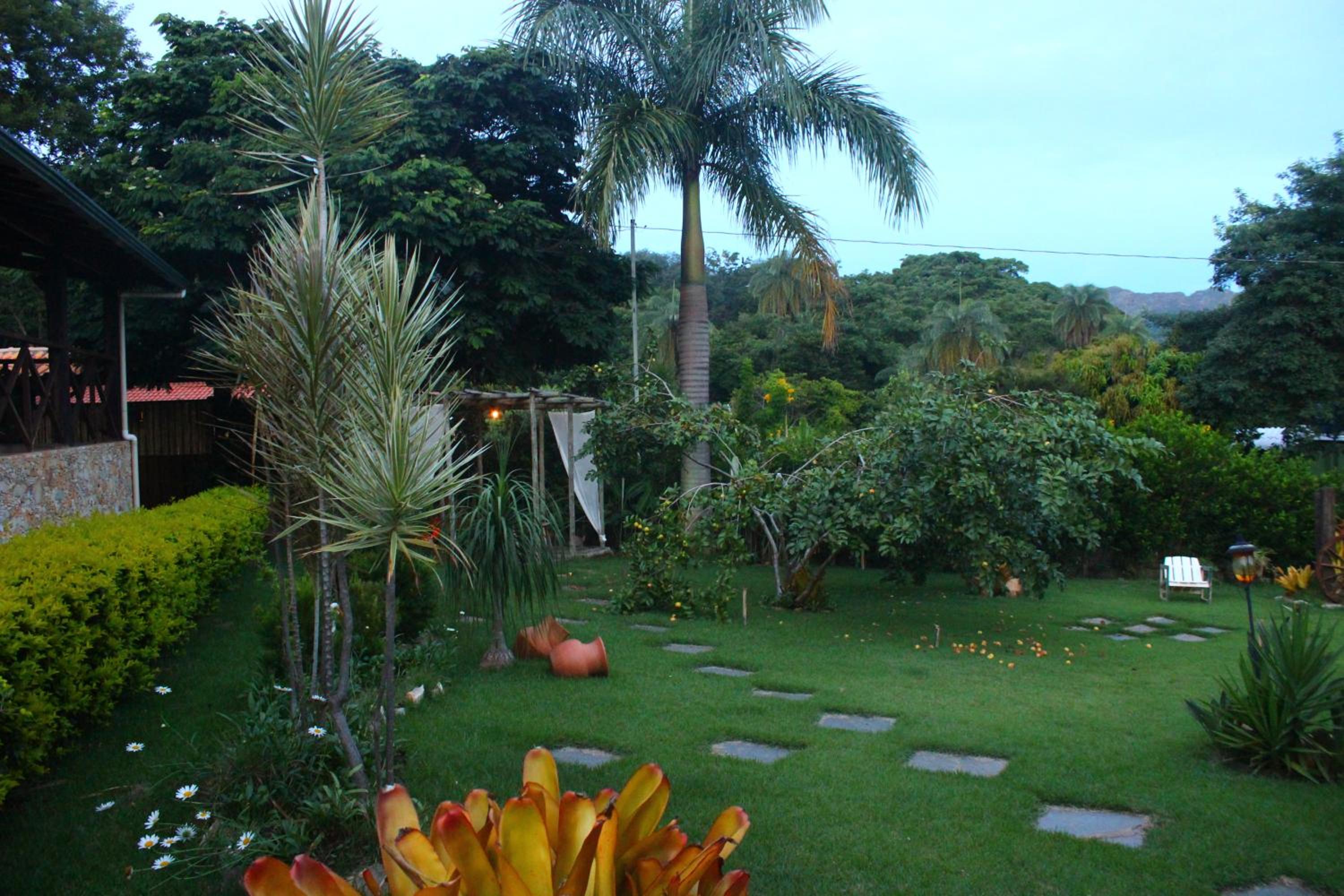 garden