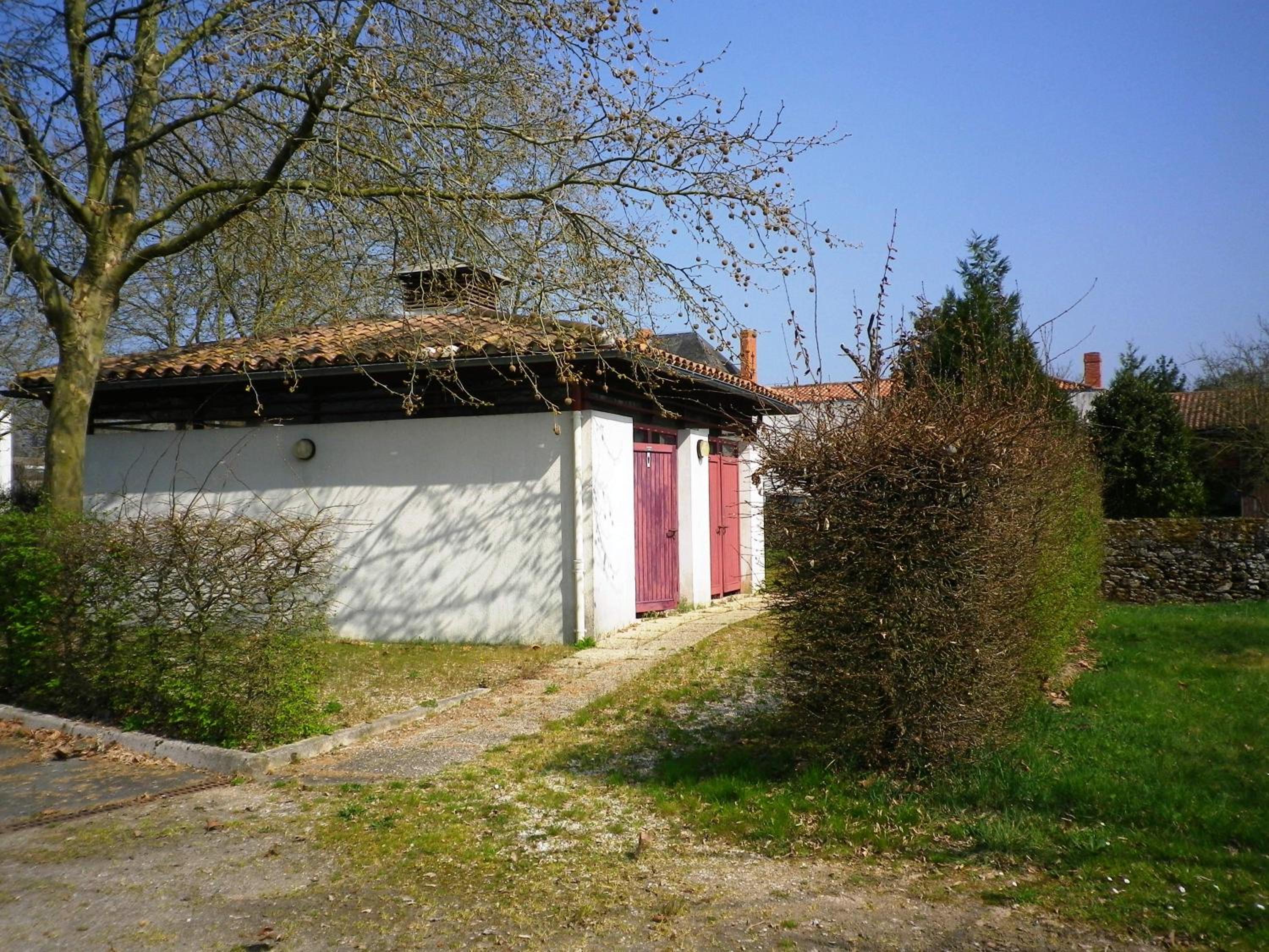 Photo 7