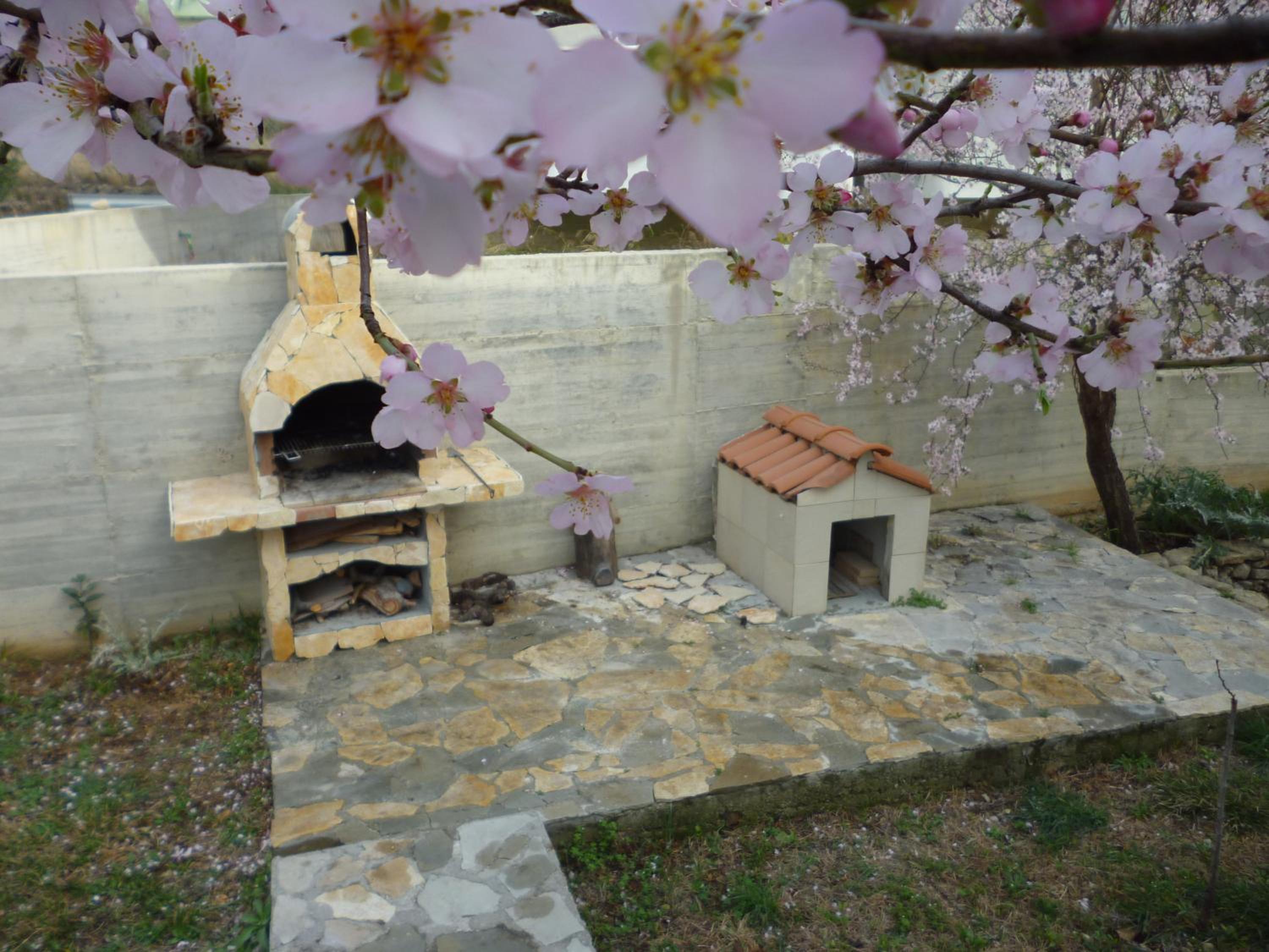 Photo 35