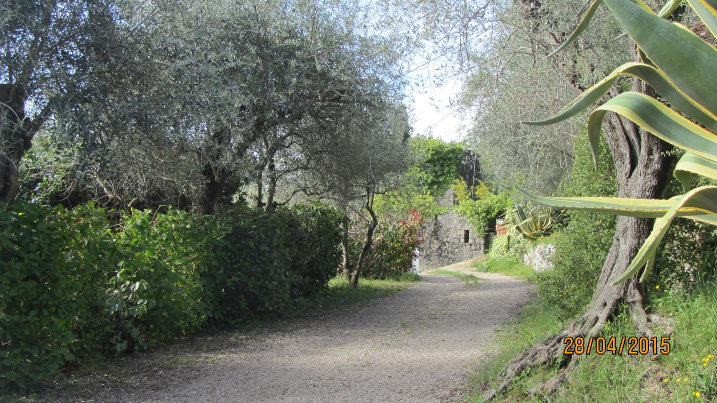 villa des oliviers view 4