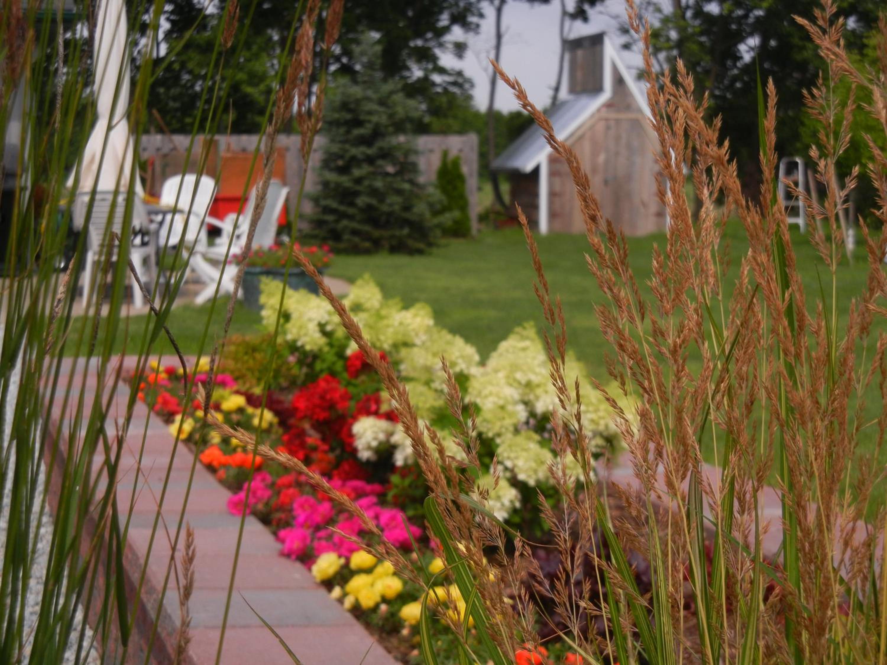 Duck Pond B&B Cottage