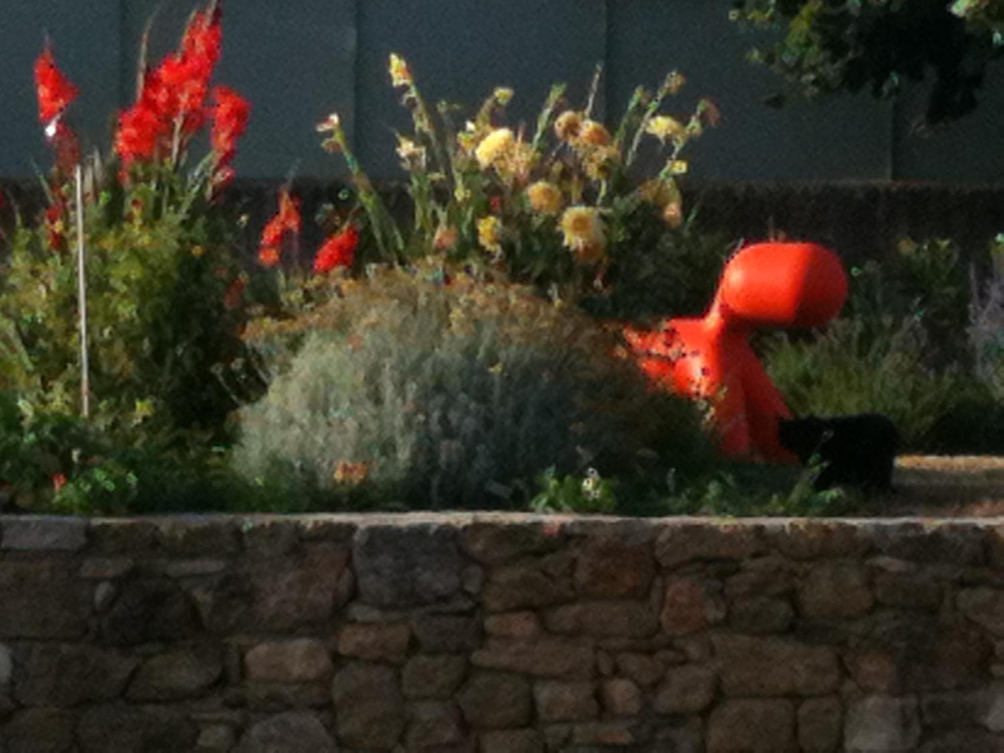 Photo 17