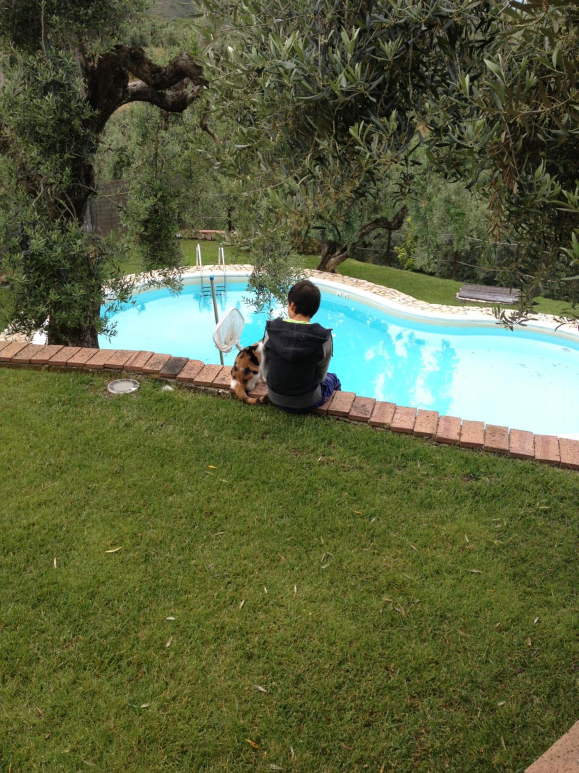 Photo 114