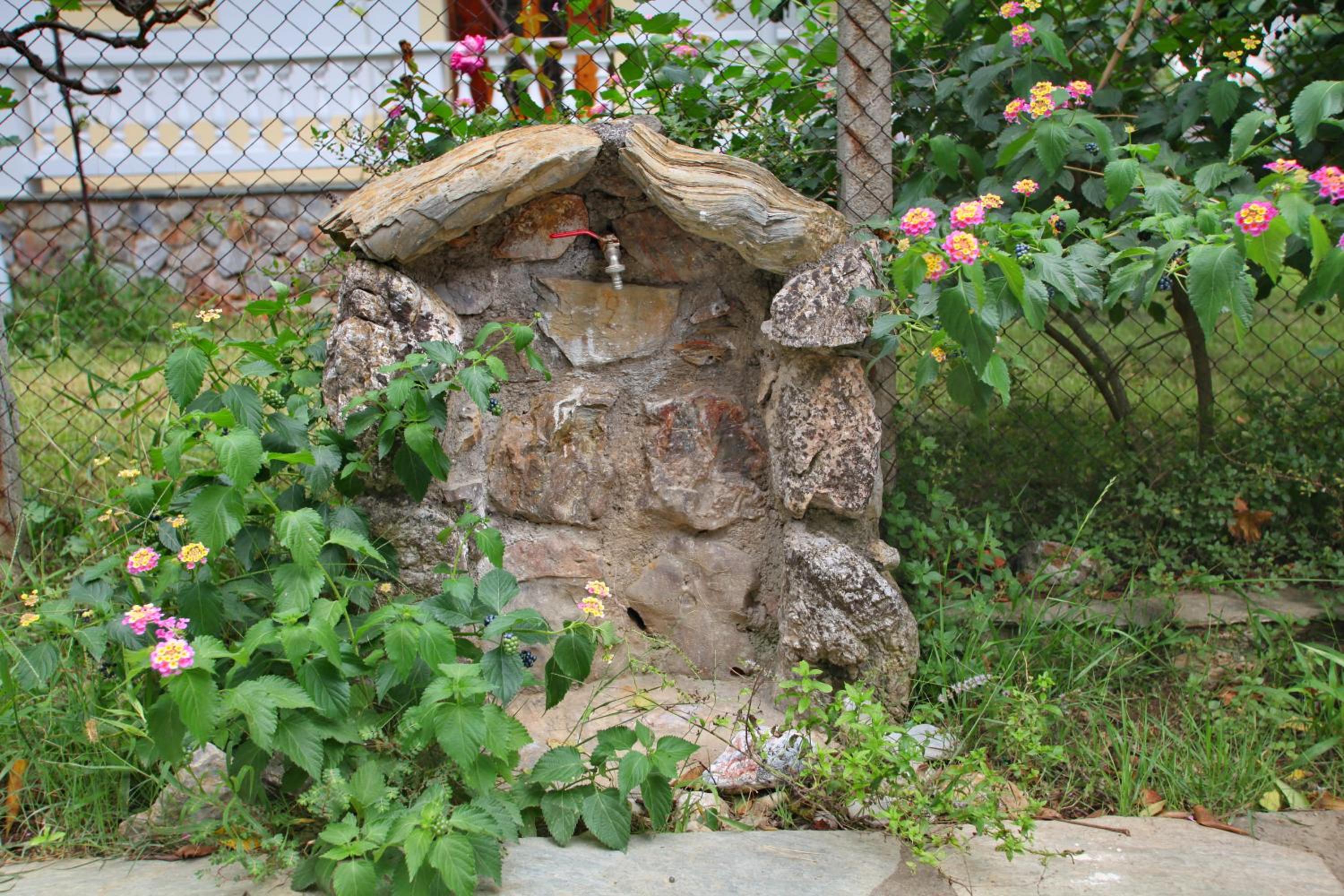 Photo 17