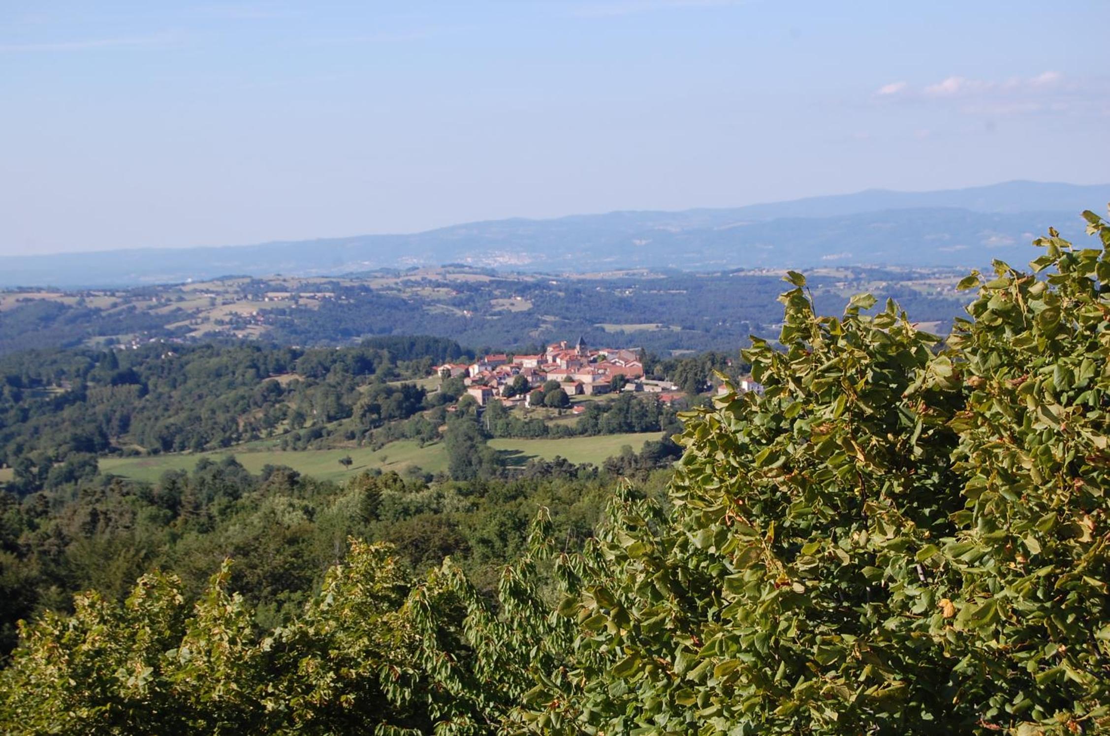Photo 16