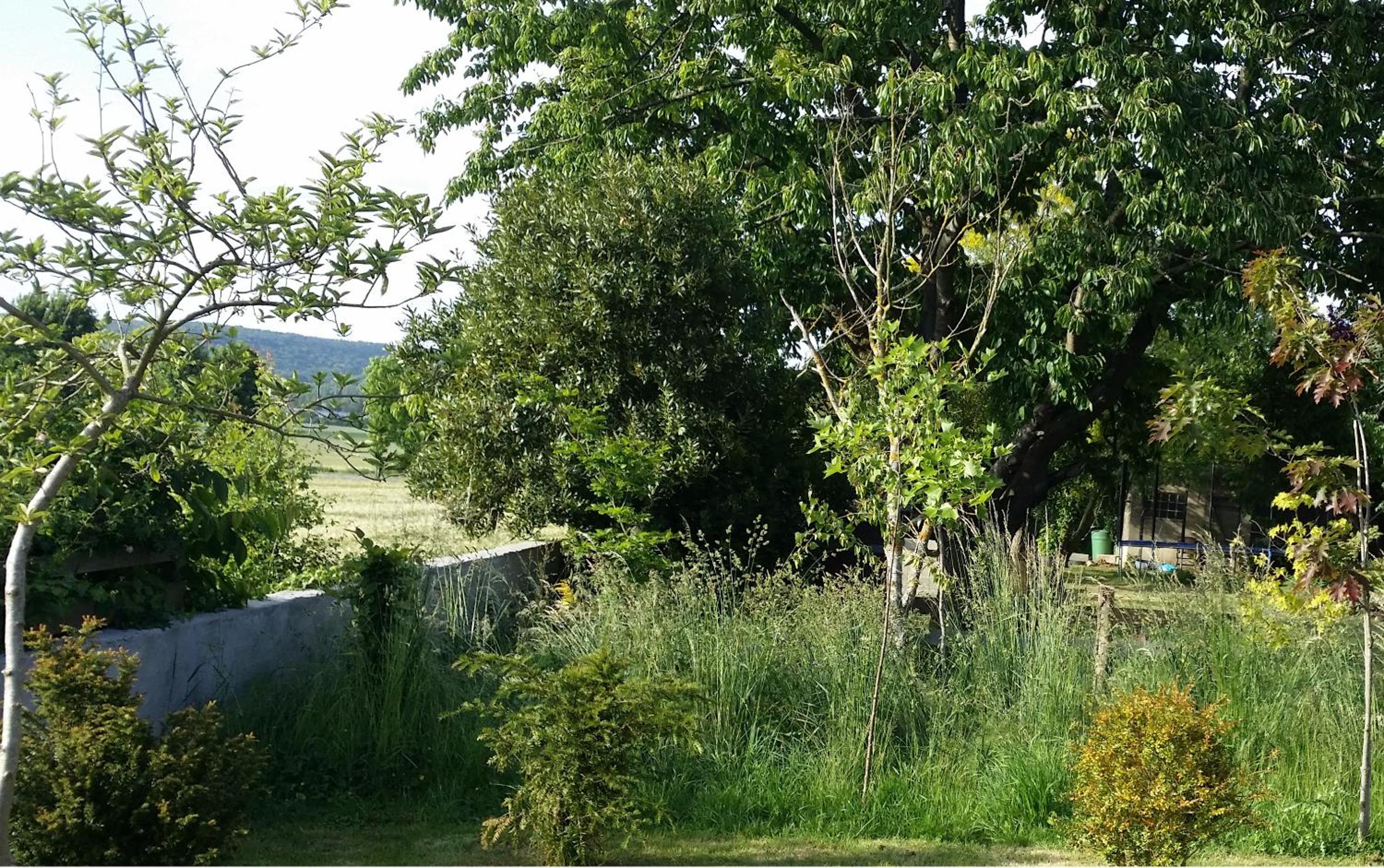 Gite Labradors De Bailly - Giverny