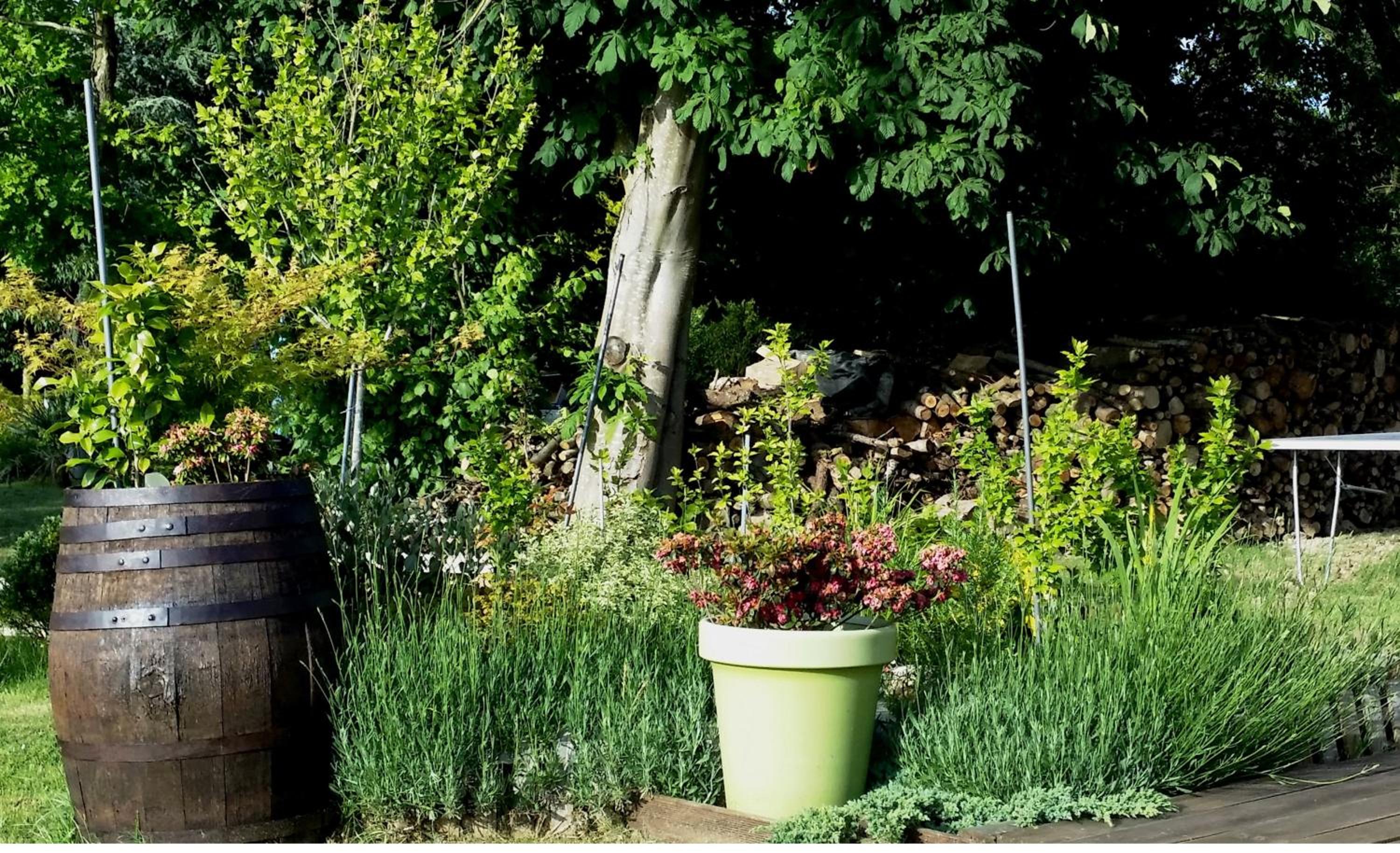 Gite Labradors De Bailly - Giverny