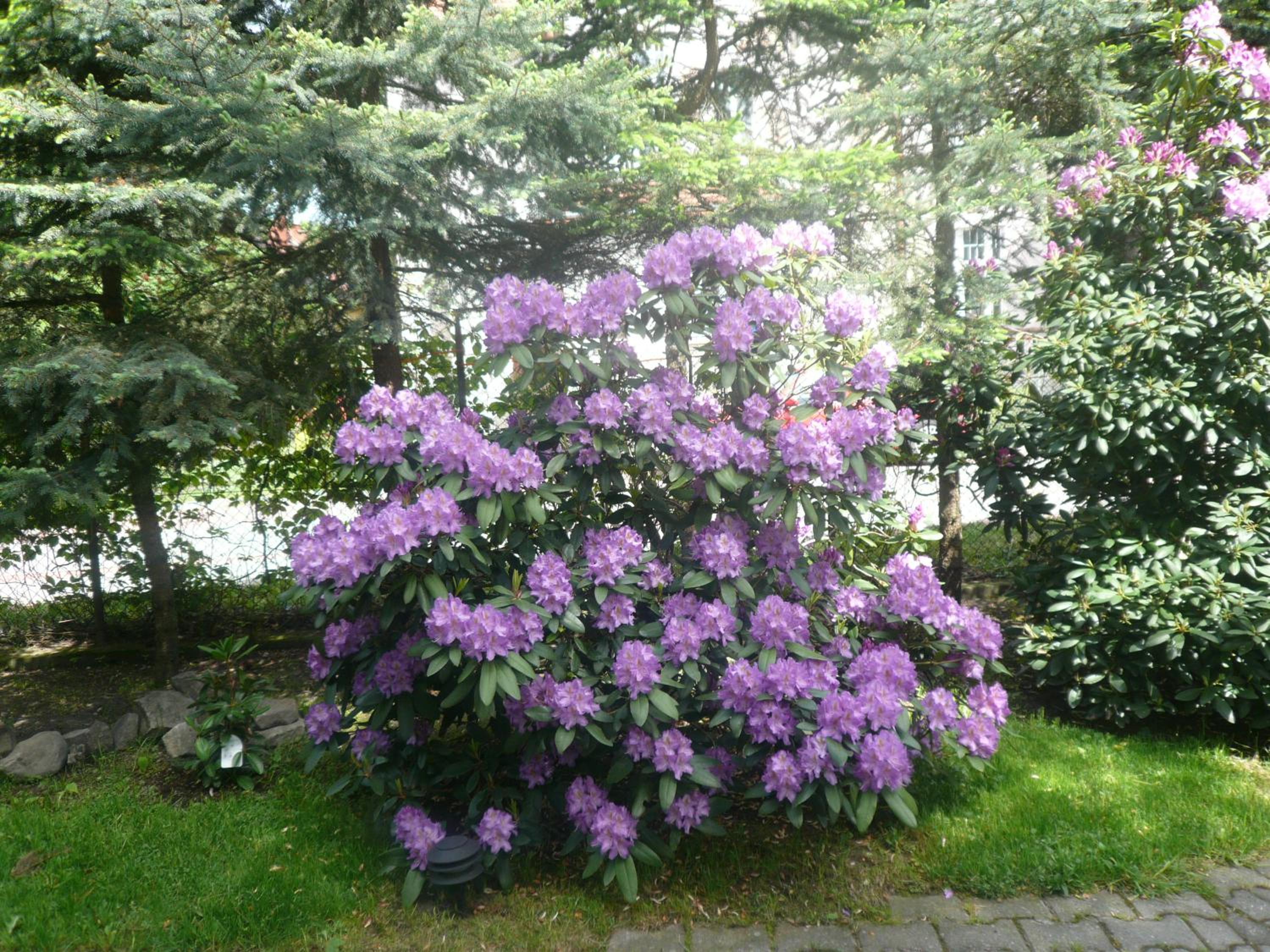 Dworek Genny, photo 13