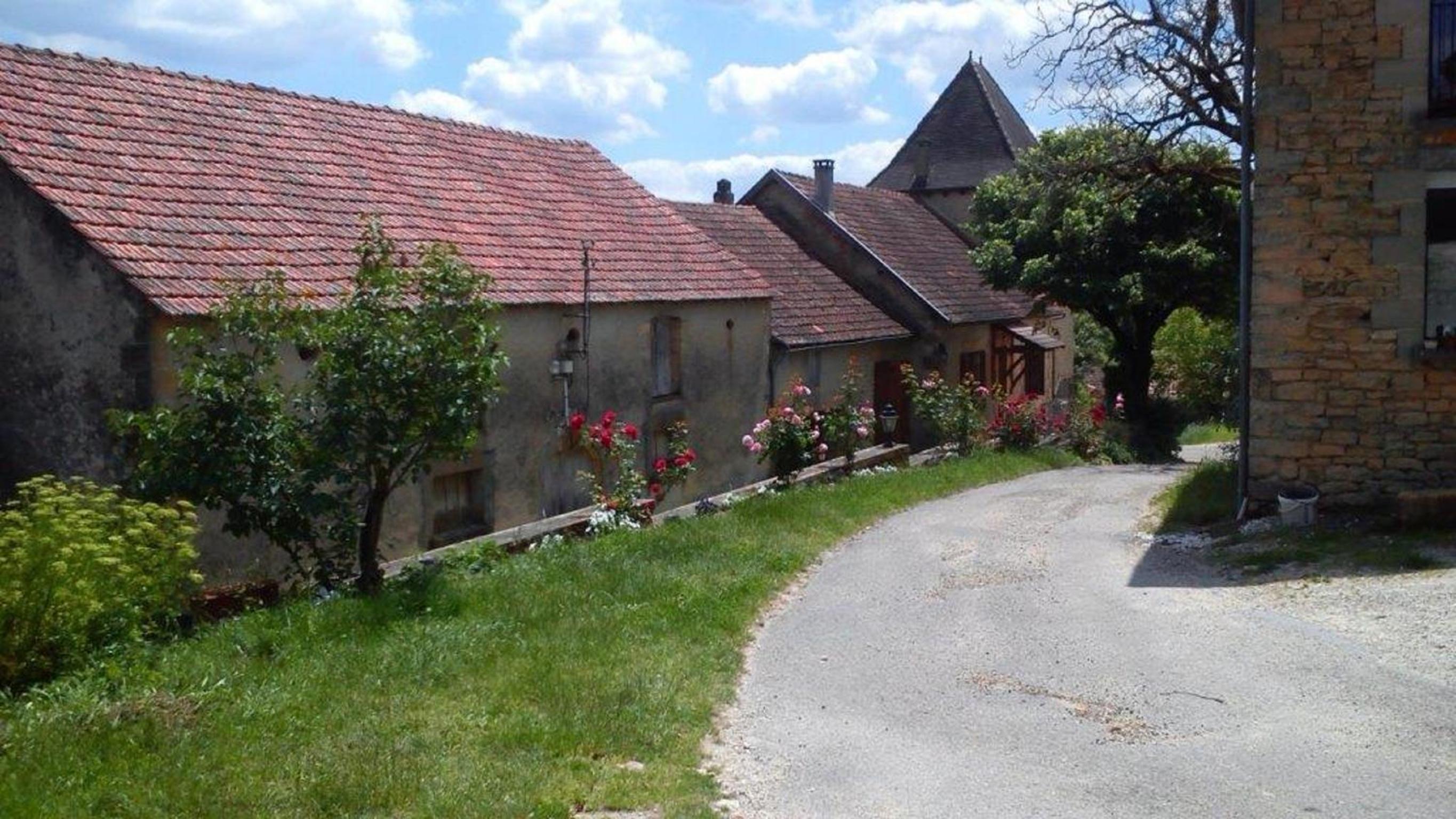 Photo 6