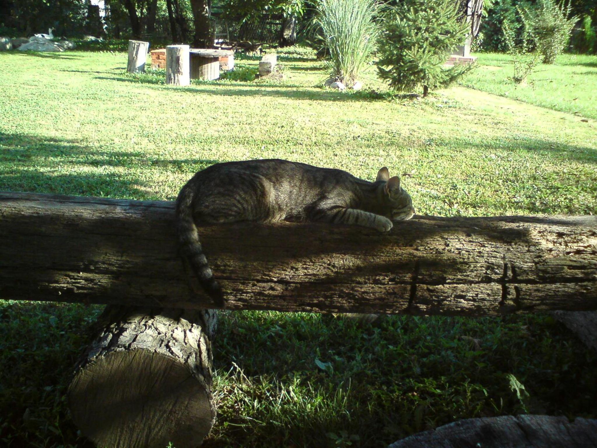 Photo 27