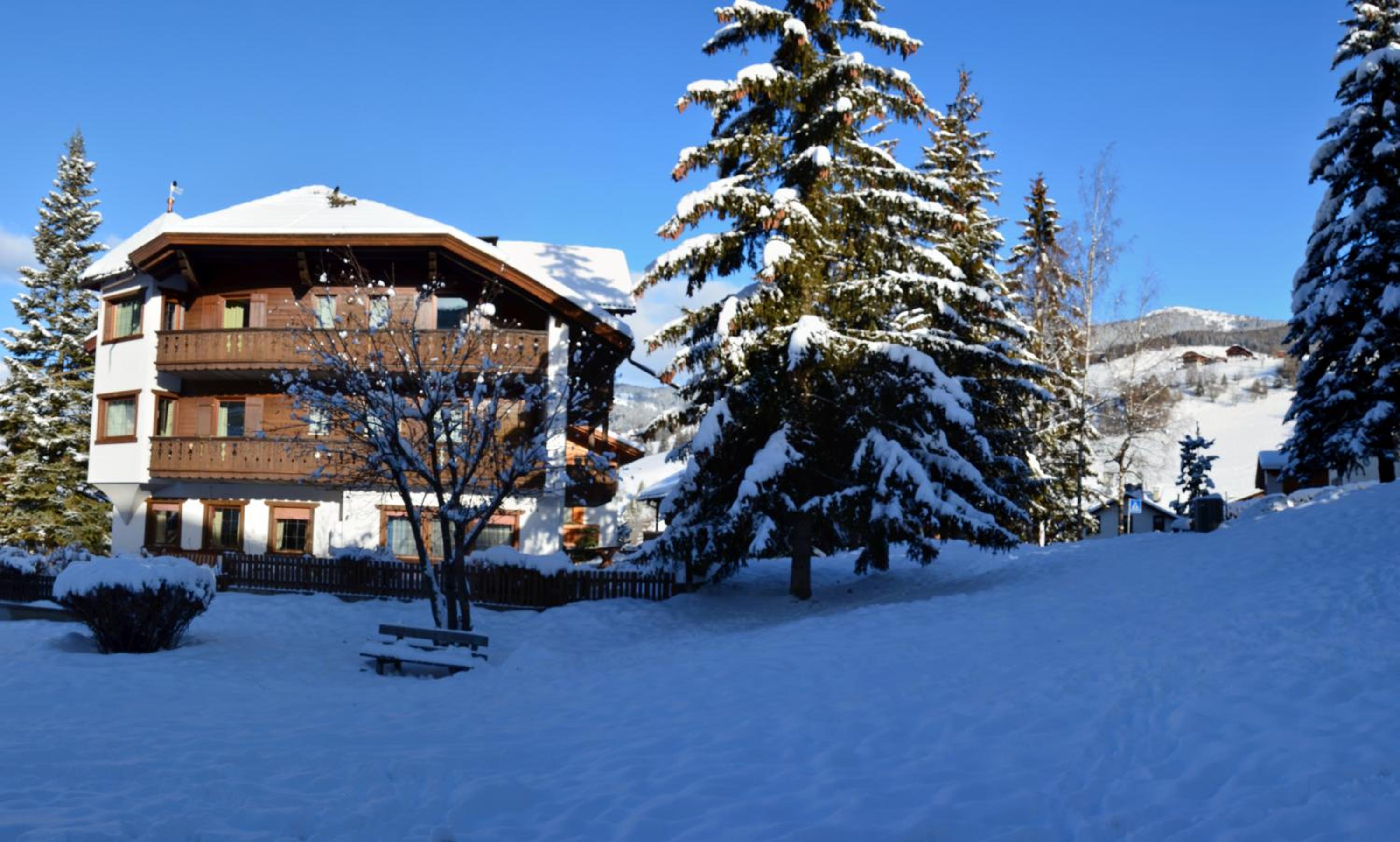 Photo 6