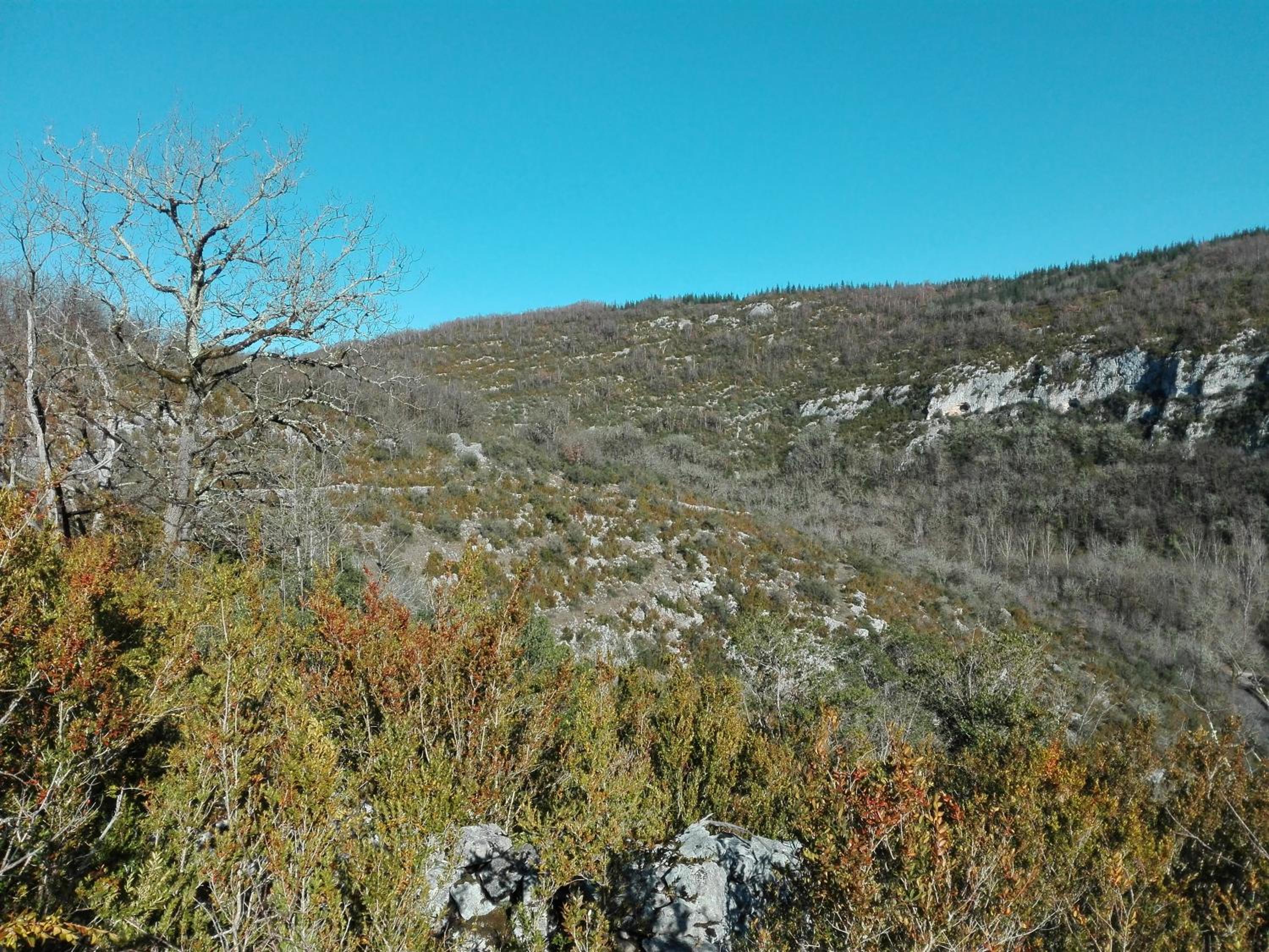 la Truffière Saint Cirq Lapopie