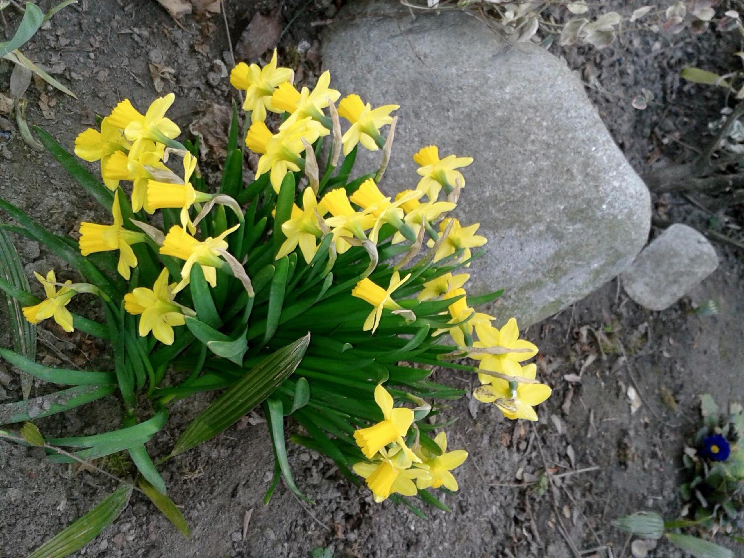 Photo 20