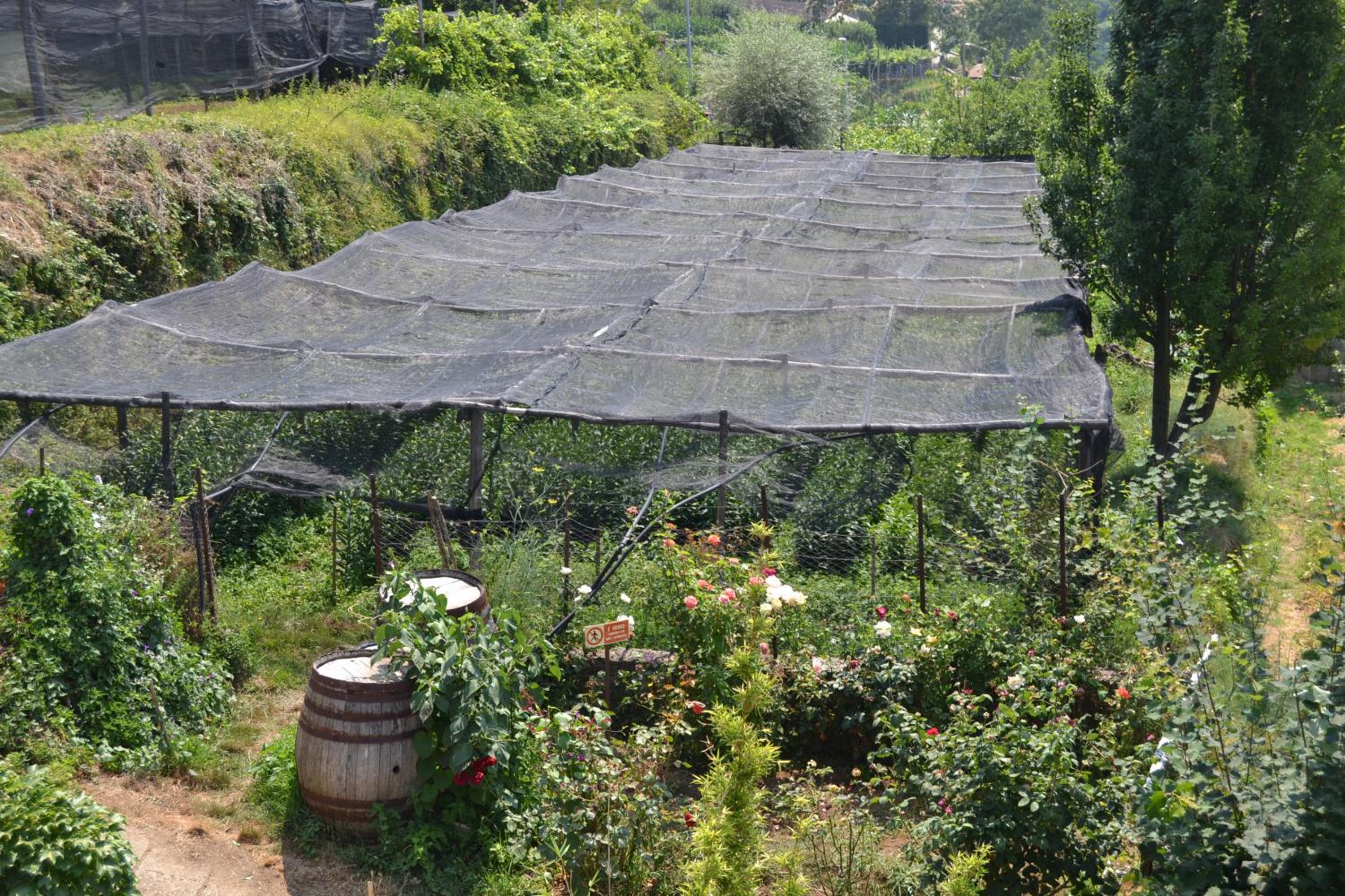 Agriturismo Nonno Tobia