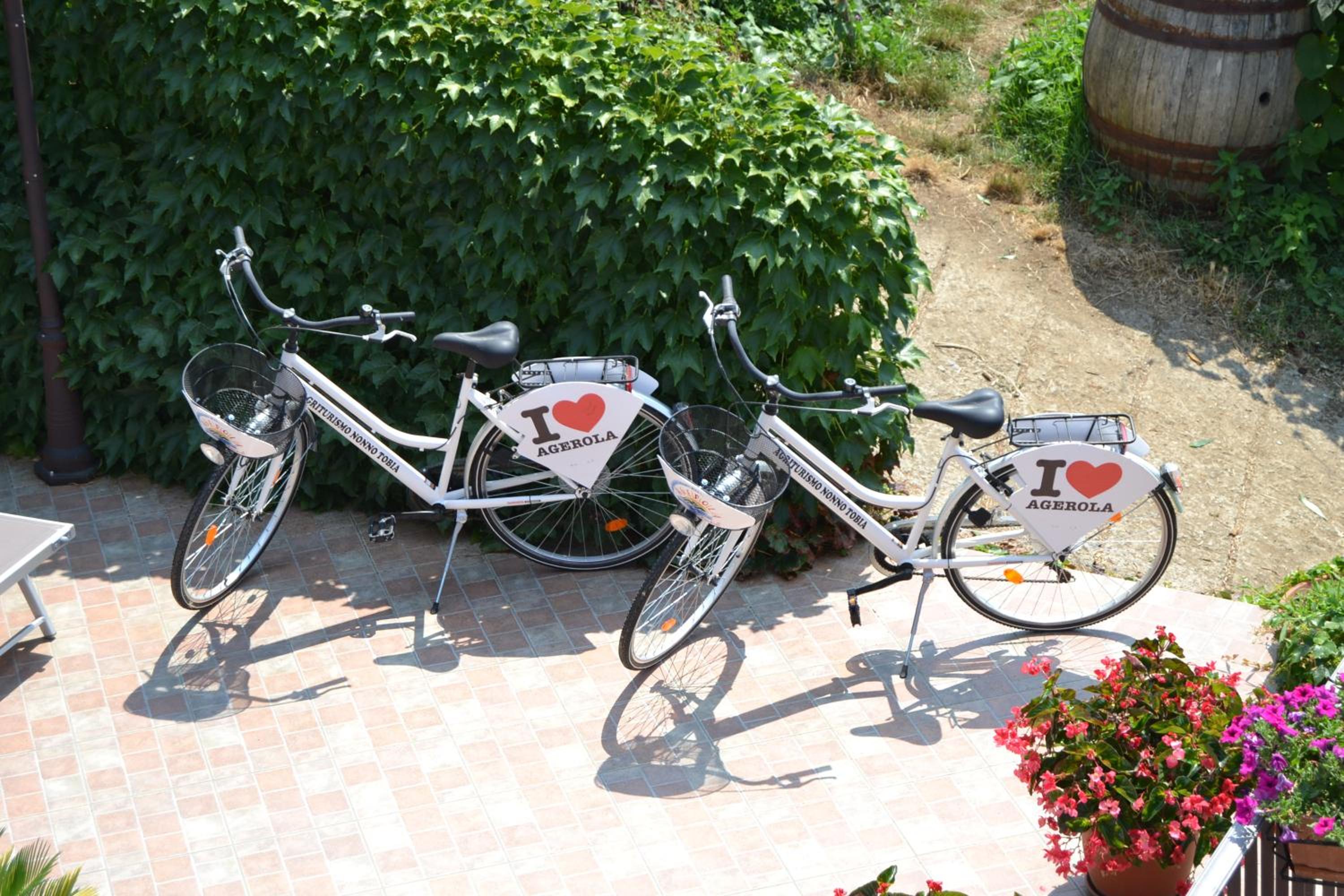 Agriturismo Nonno Tobia