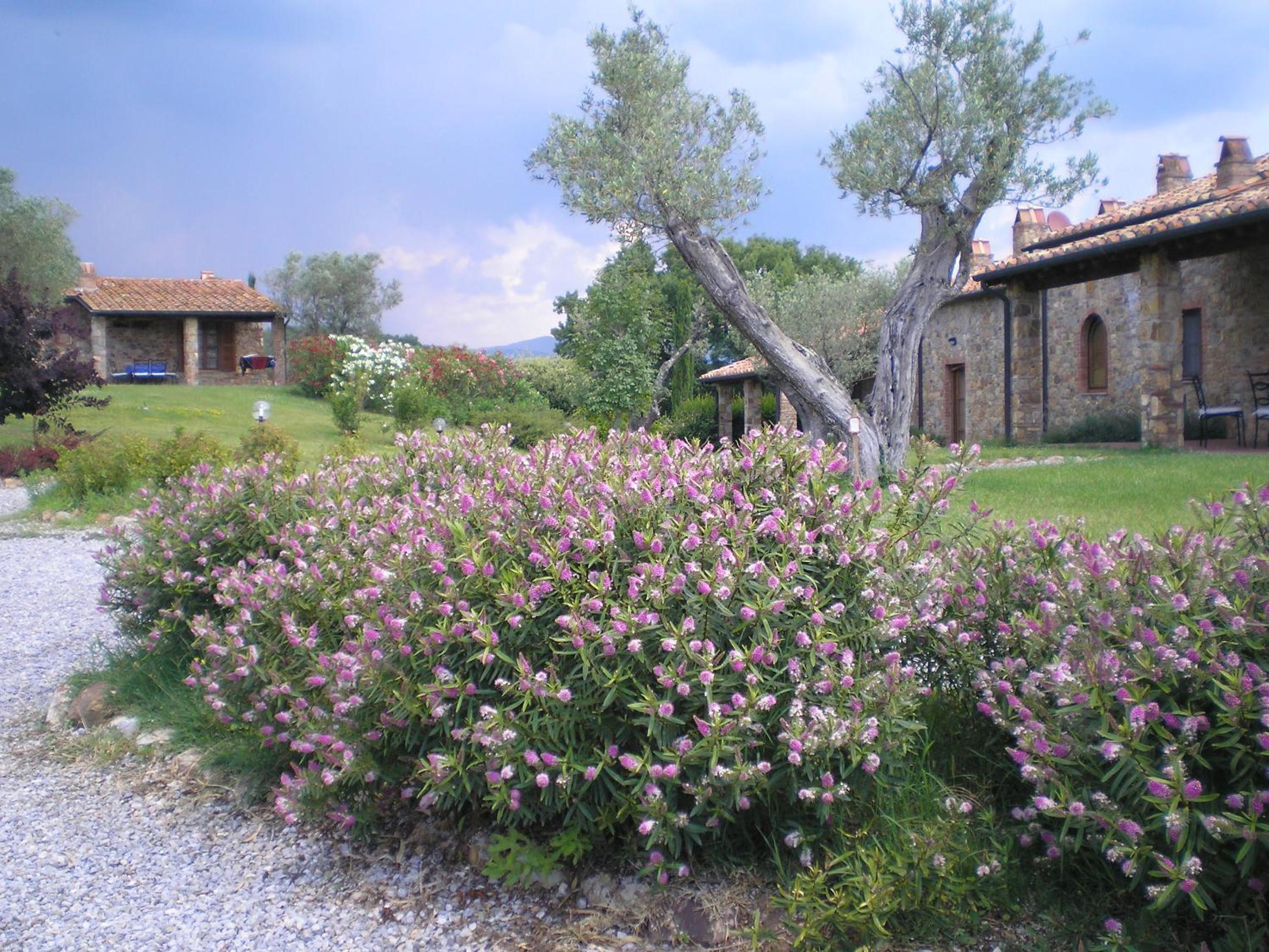 Photo 25