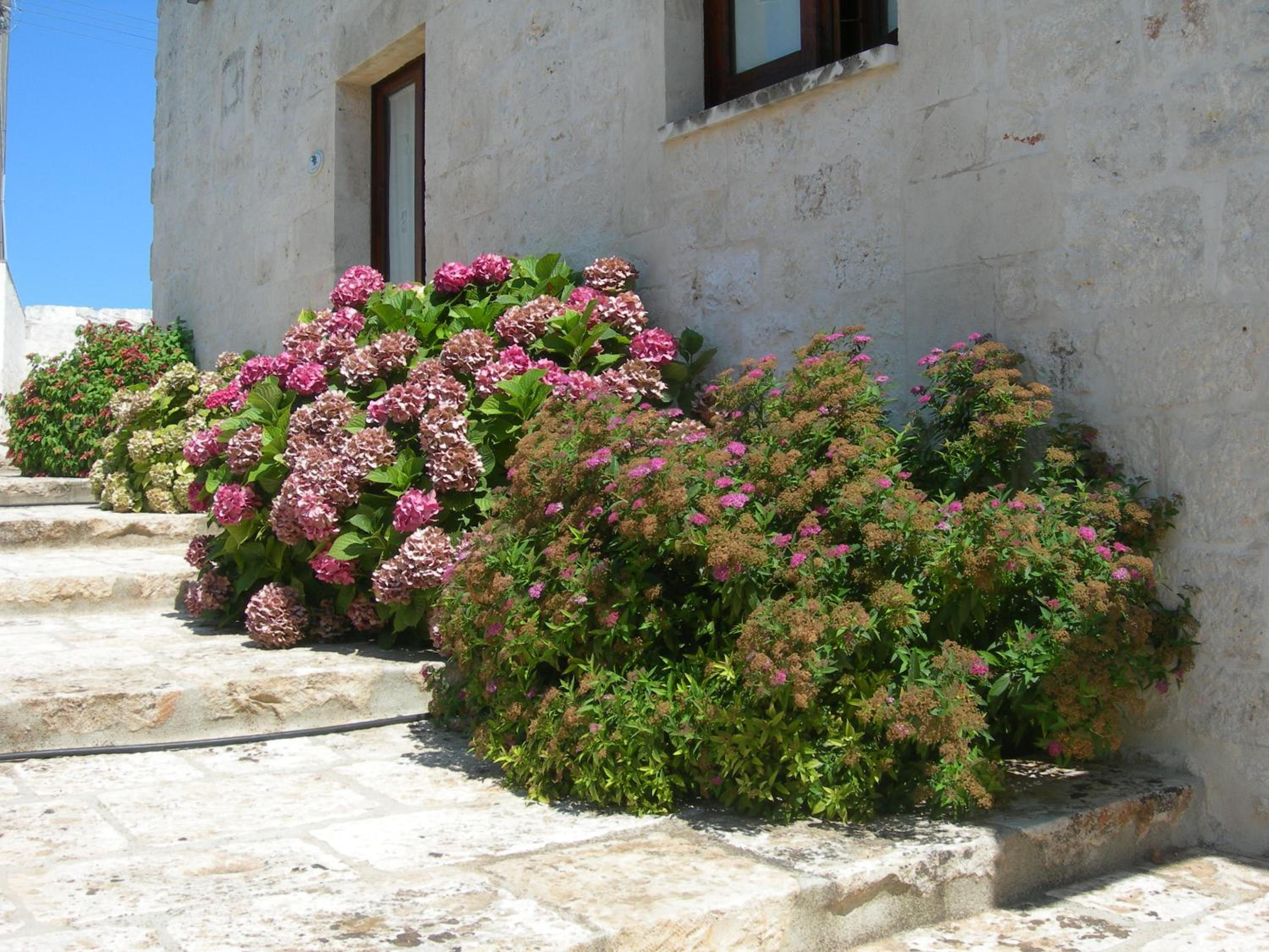 Masseria Montecchie