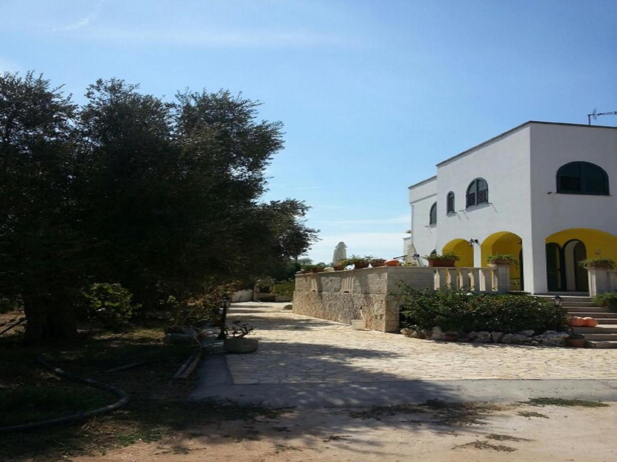 Photo 47