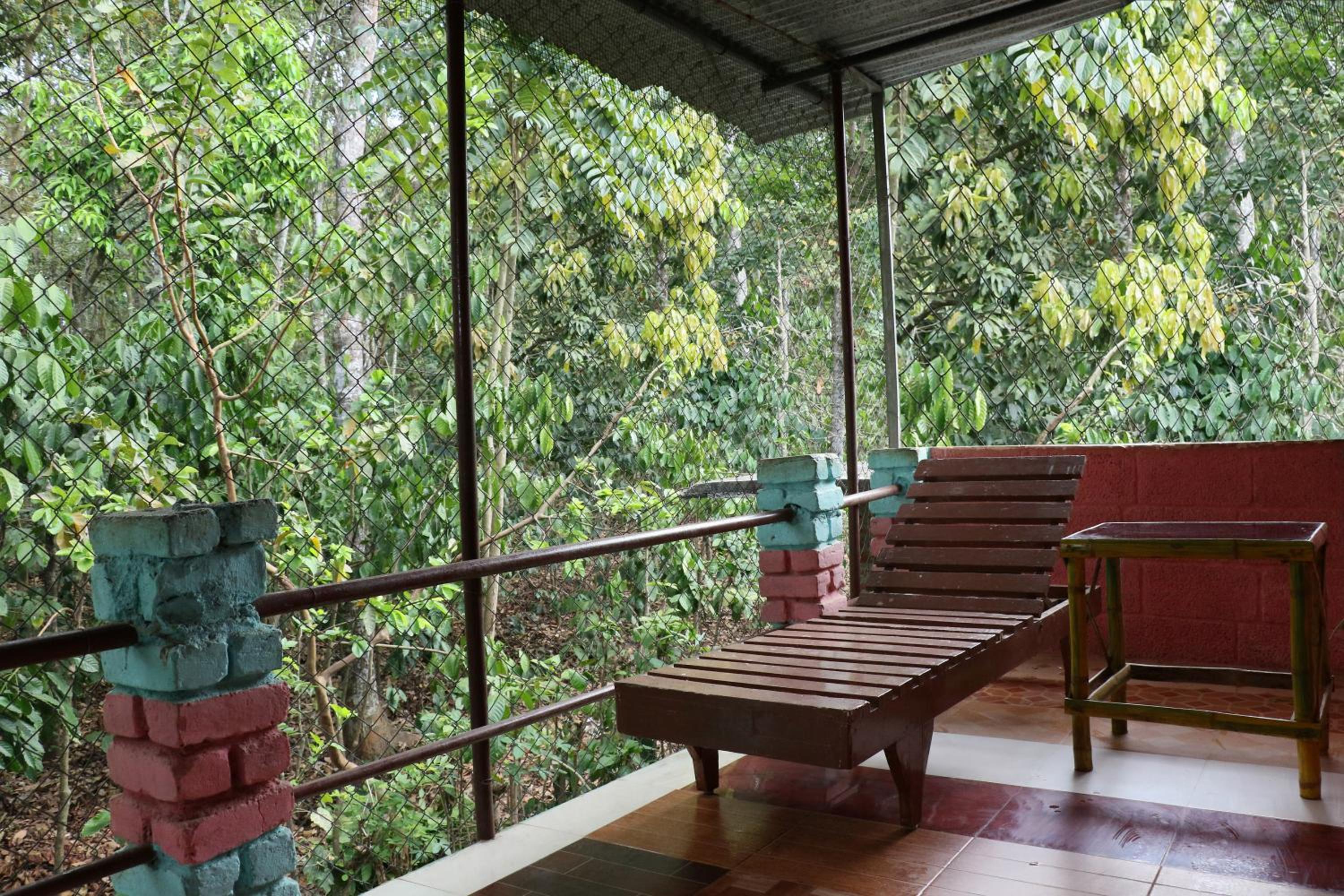 Thekkady Vacations - Jungleparadiso Homestay - Property Image 14