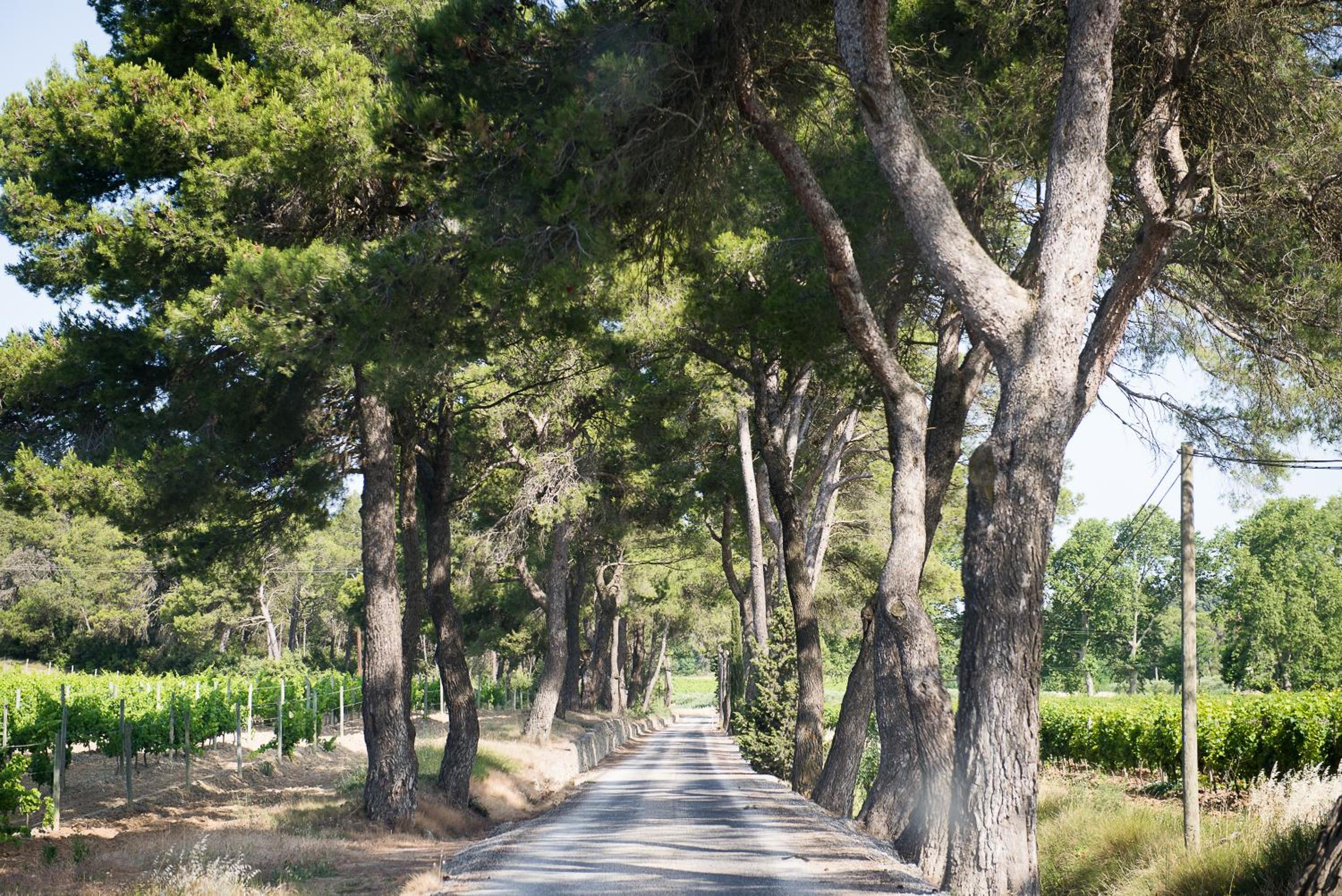 Château Canet