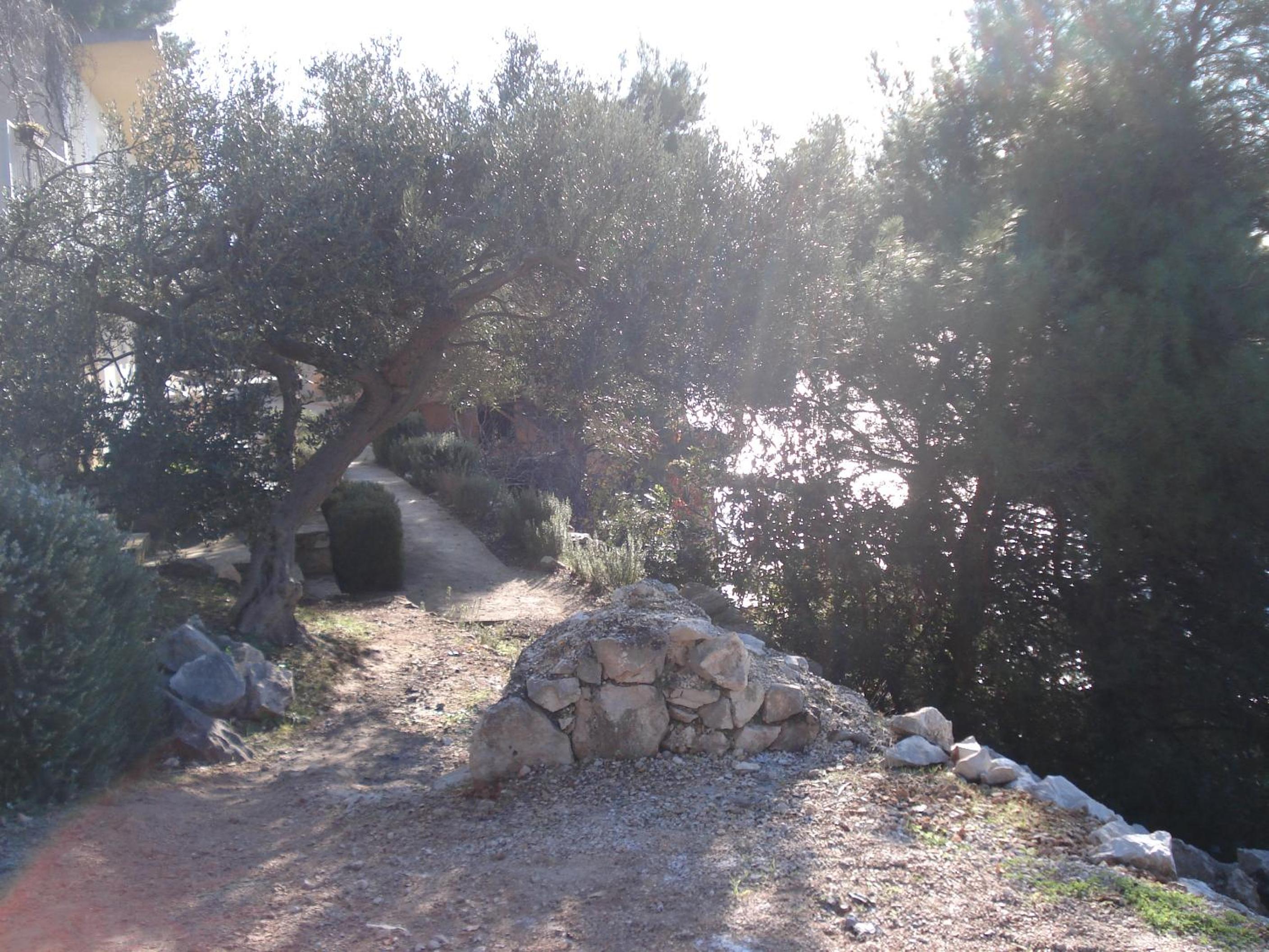 Photo 72