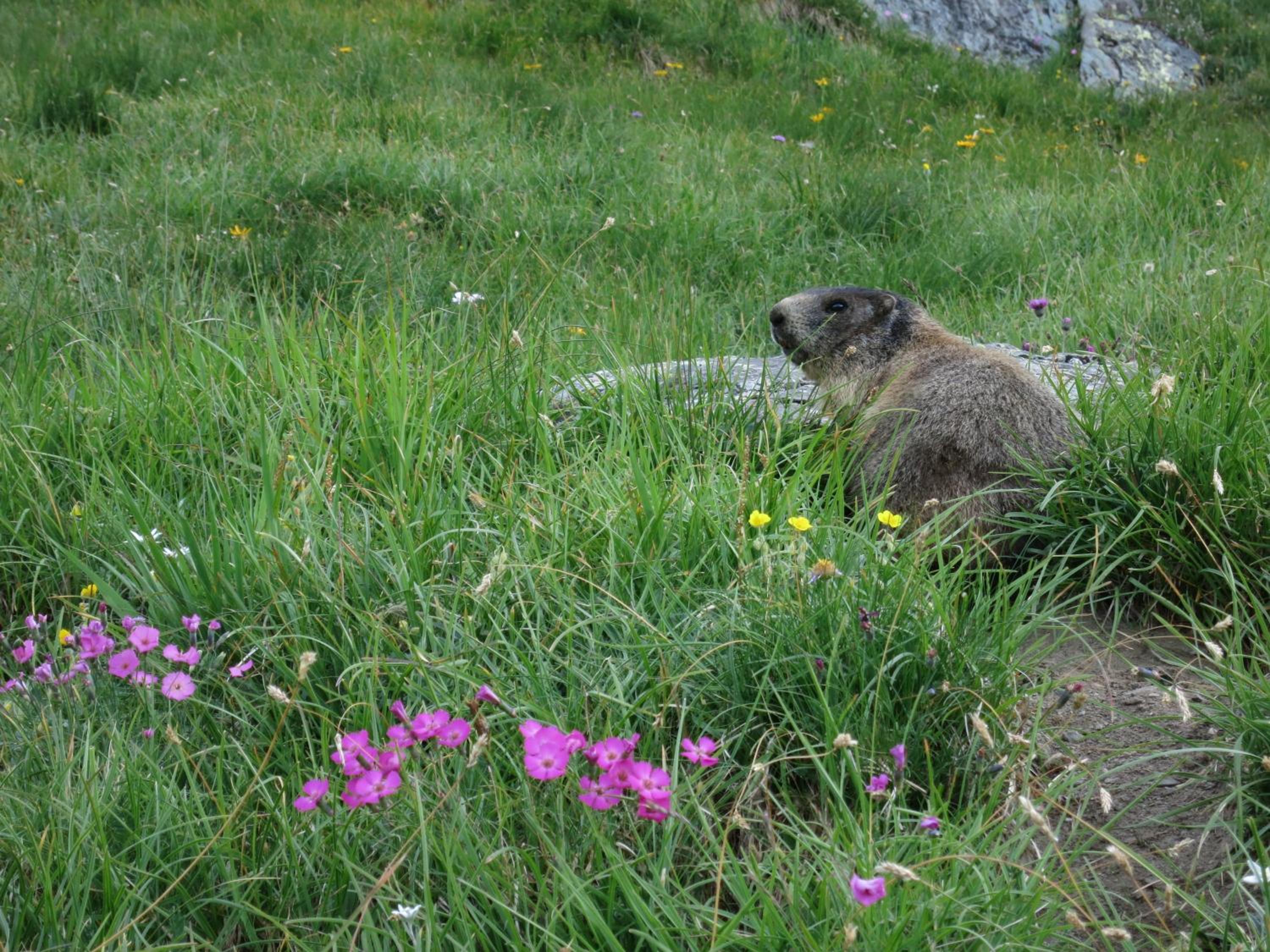 Klampererhof