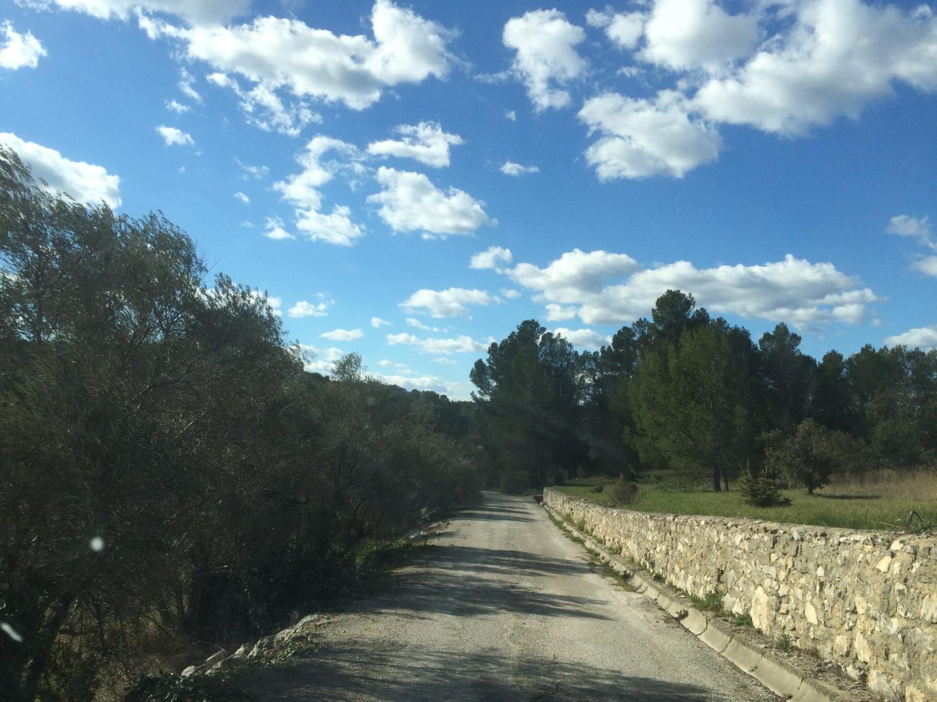 Photo 37