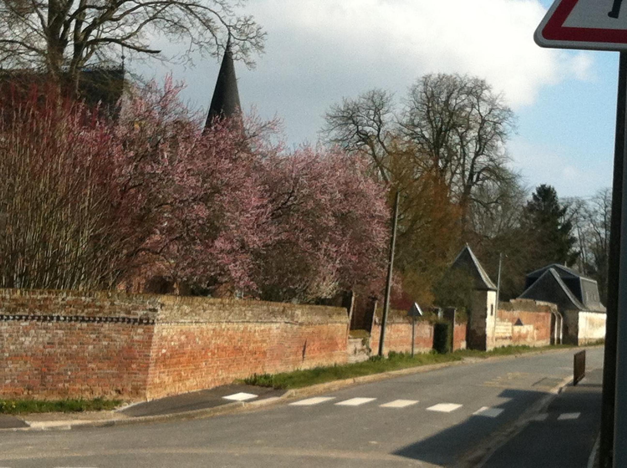 Château des marronniers