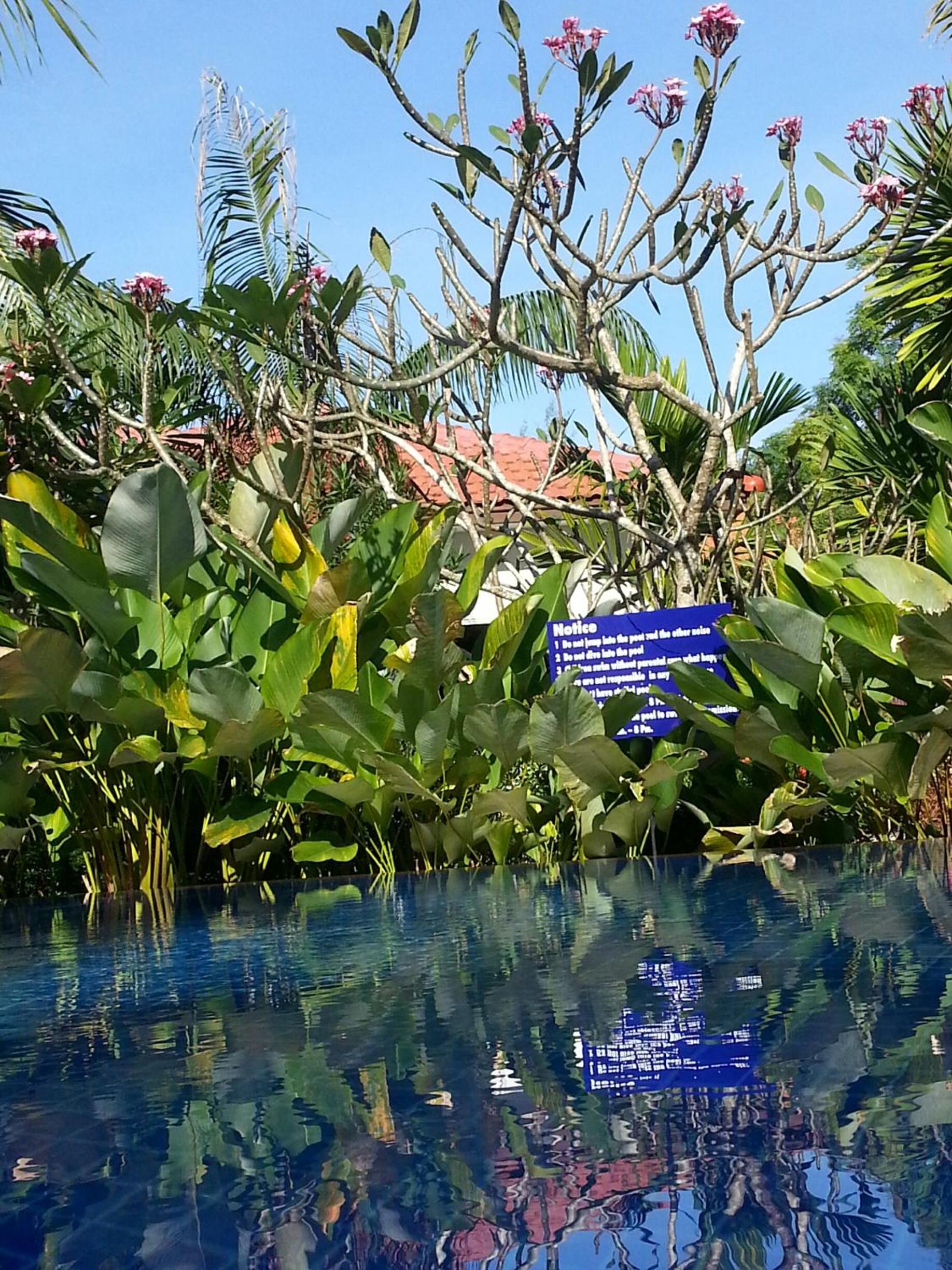 Bangtao Varee Beach — 24