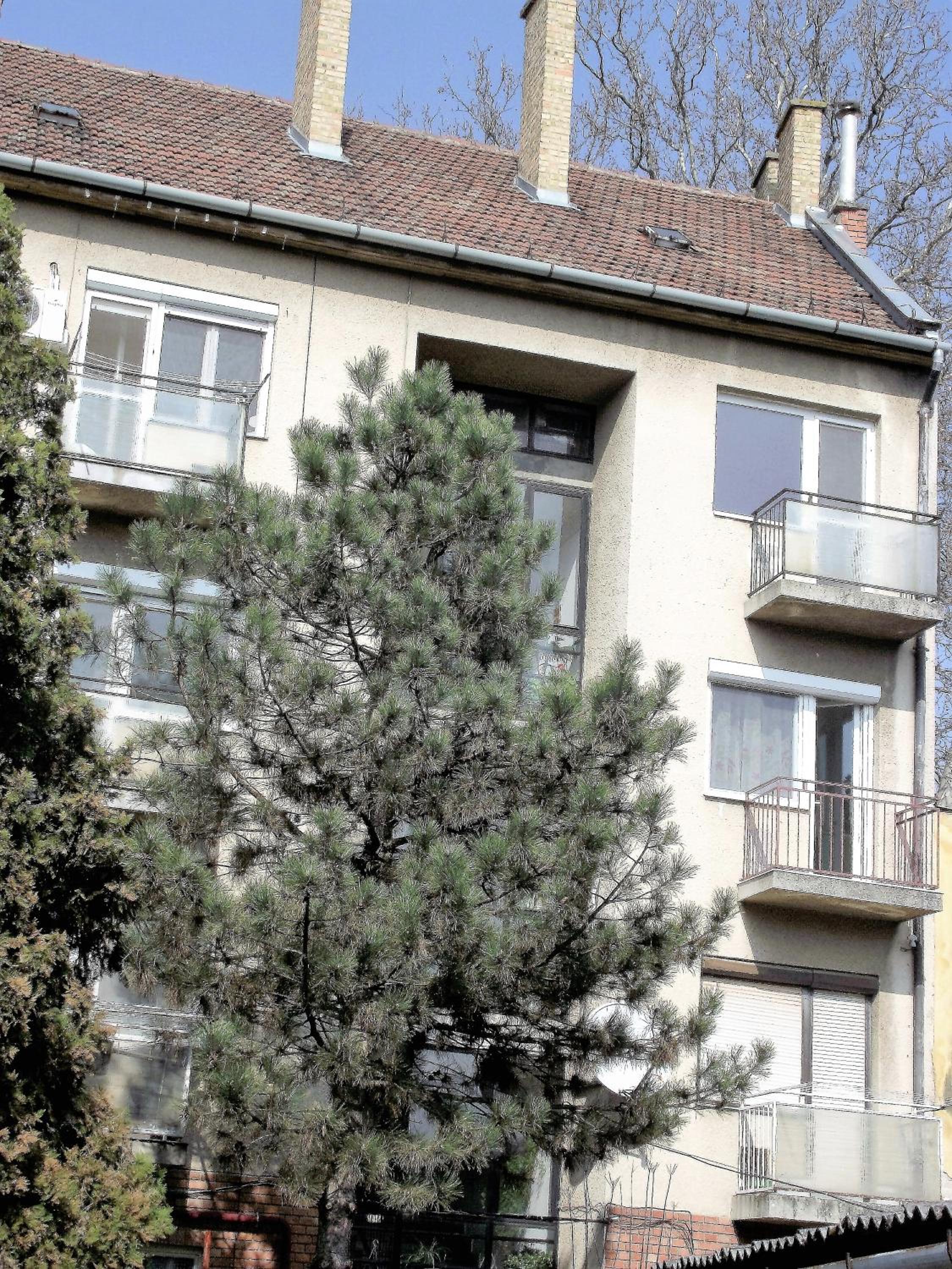 Photo 14