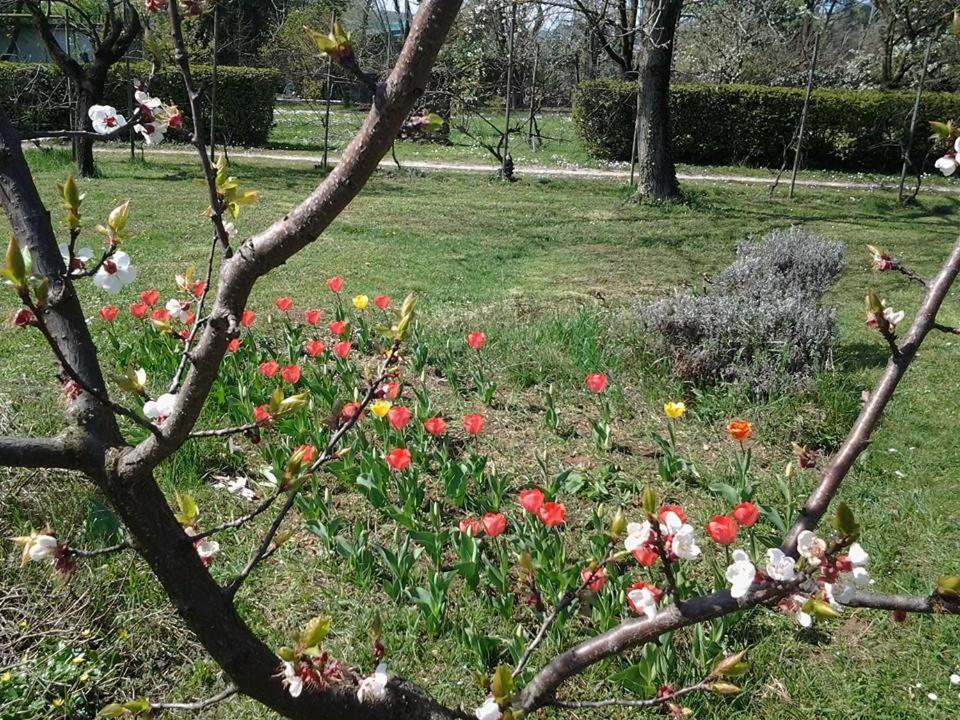 Photo 44
