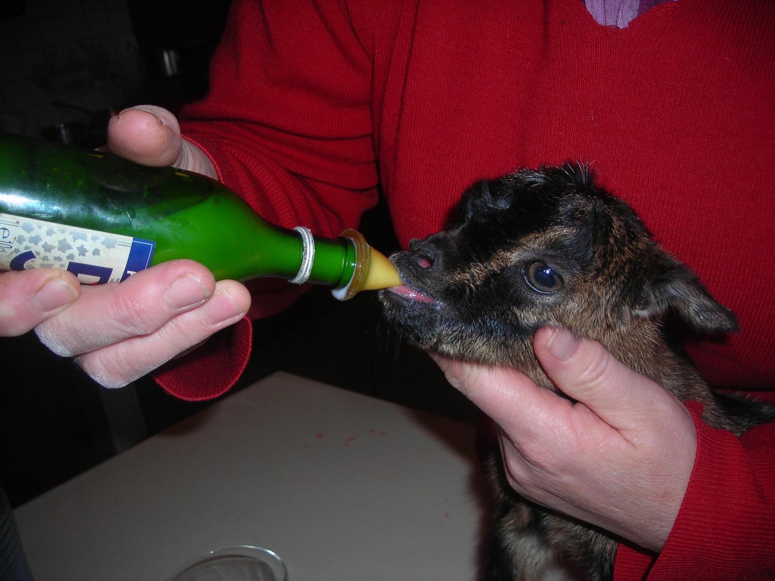 Photo 49