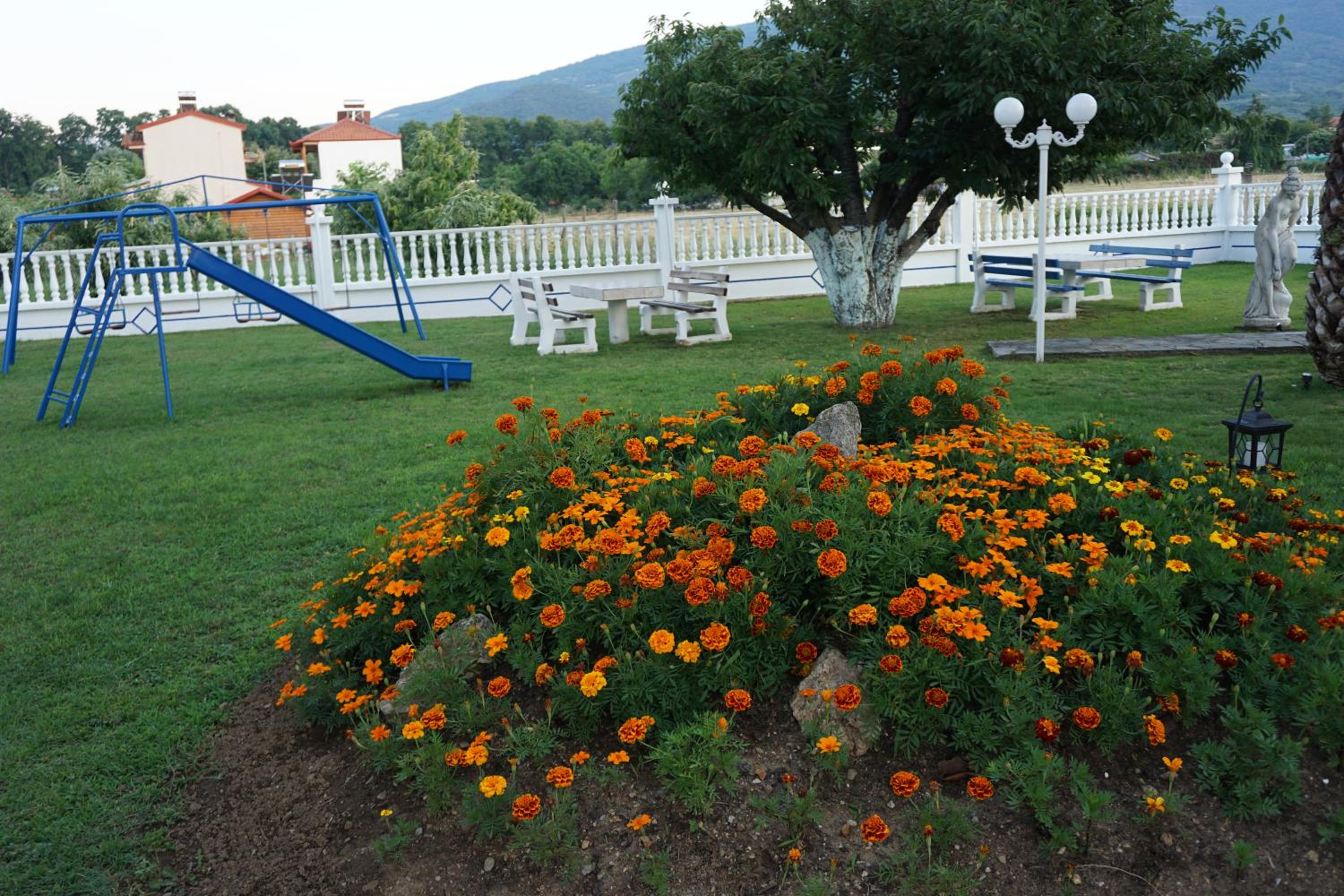 Photo 87