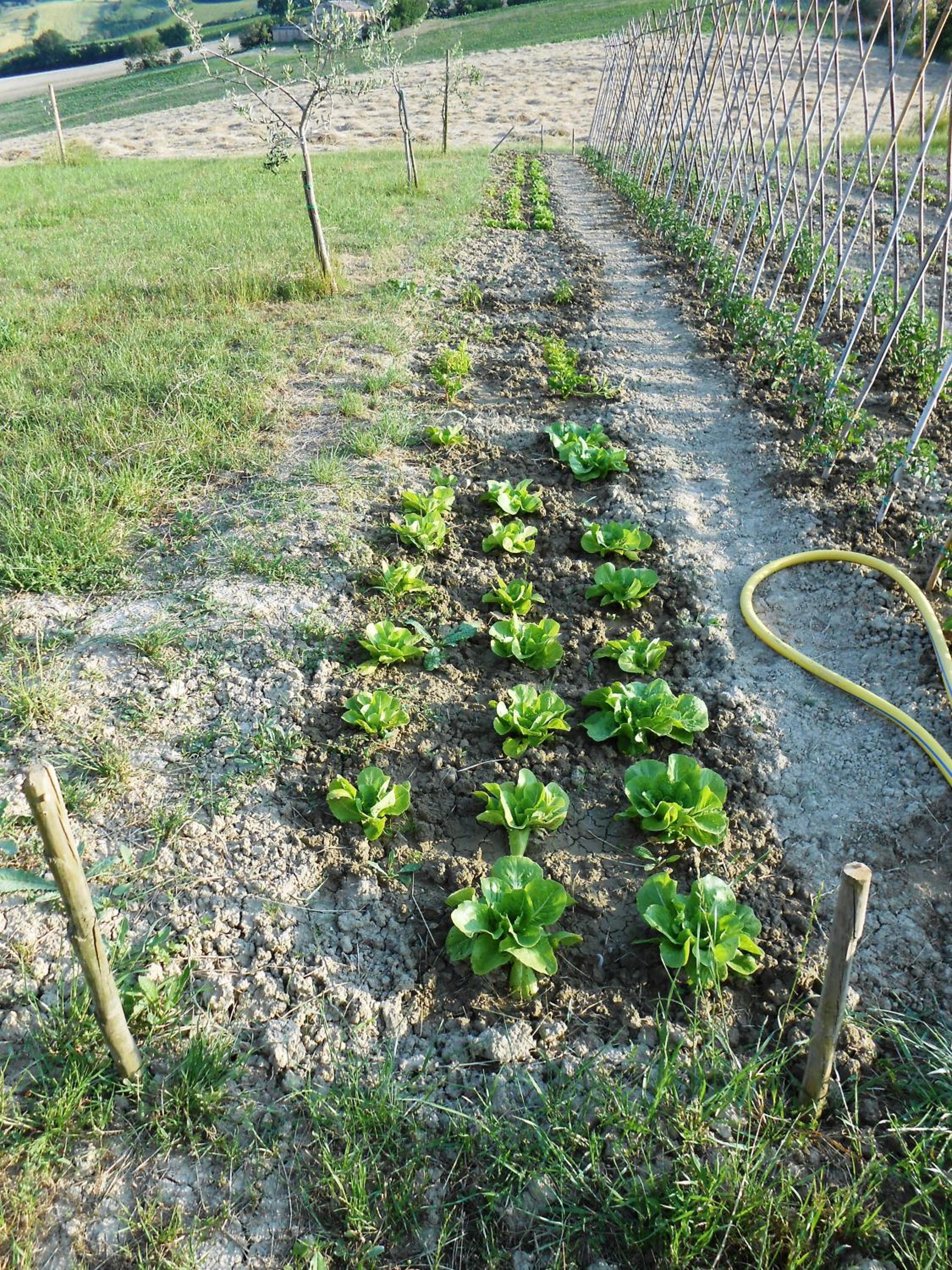 Photo 34