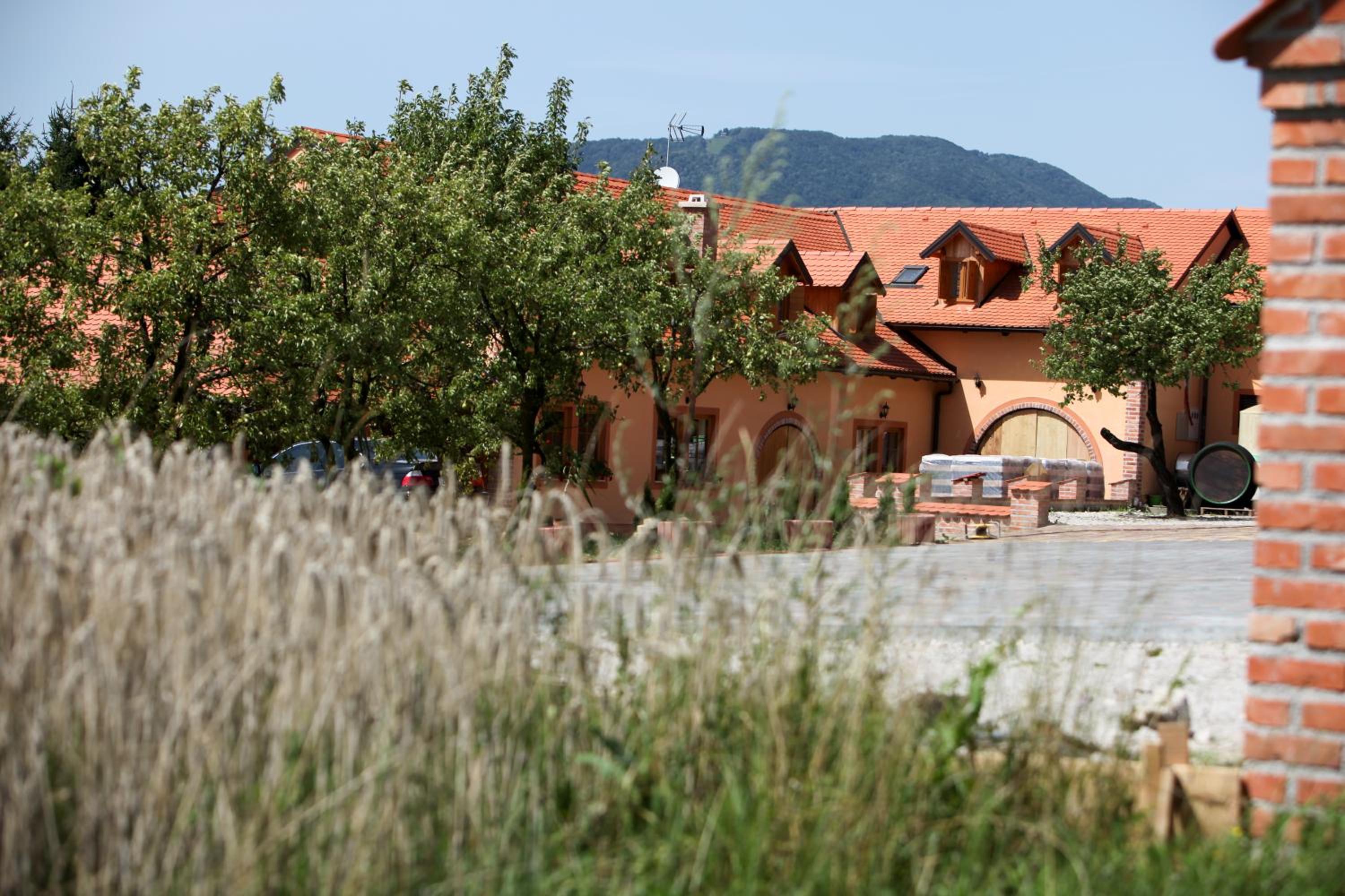 B&B Kolarić view 4