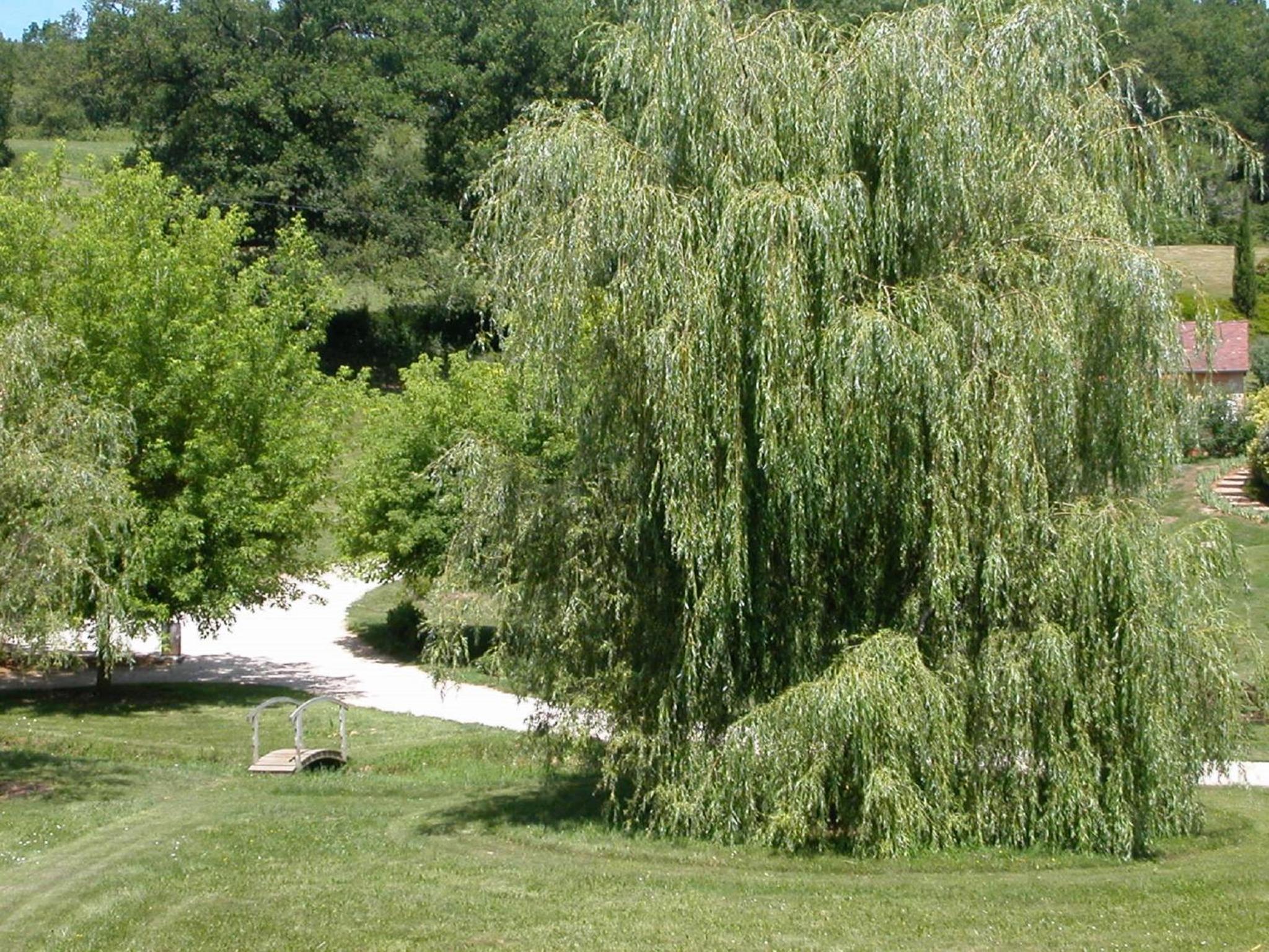Photo 46