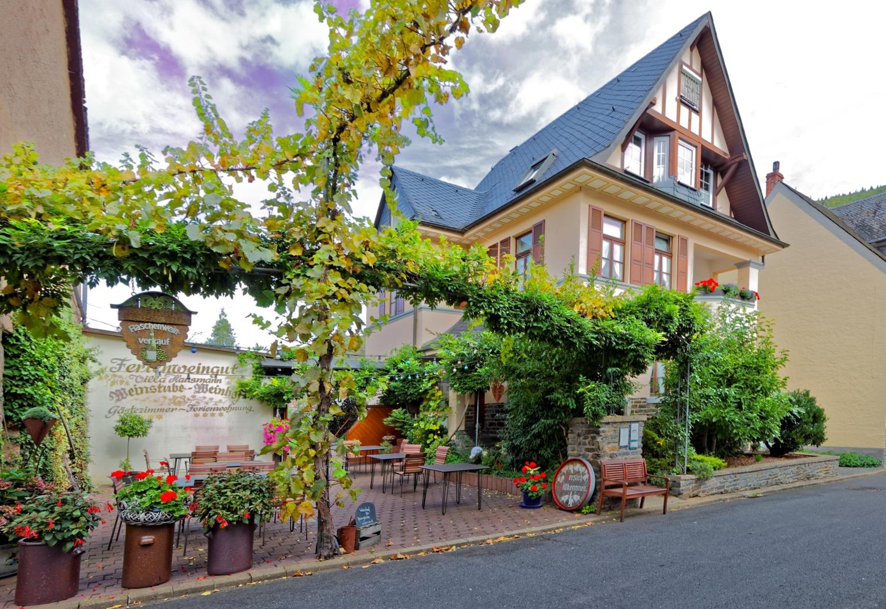 Ferienweingut Villa Hausmann