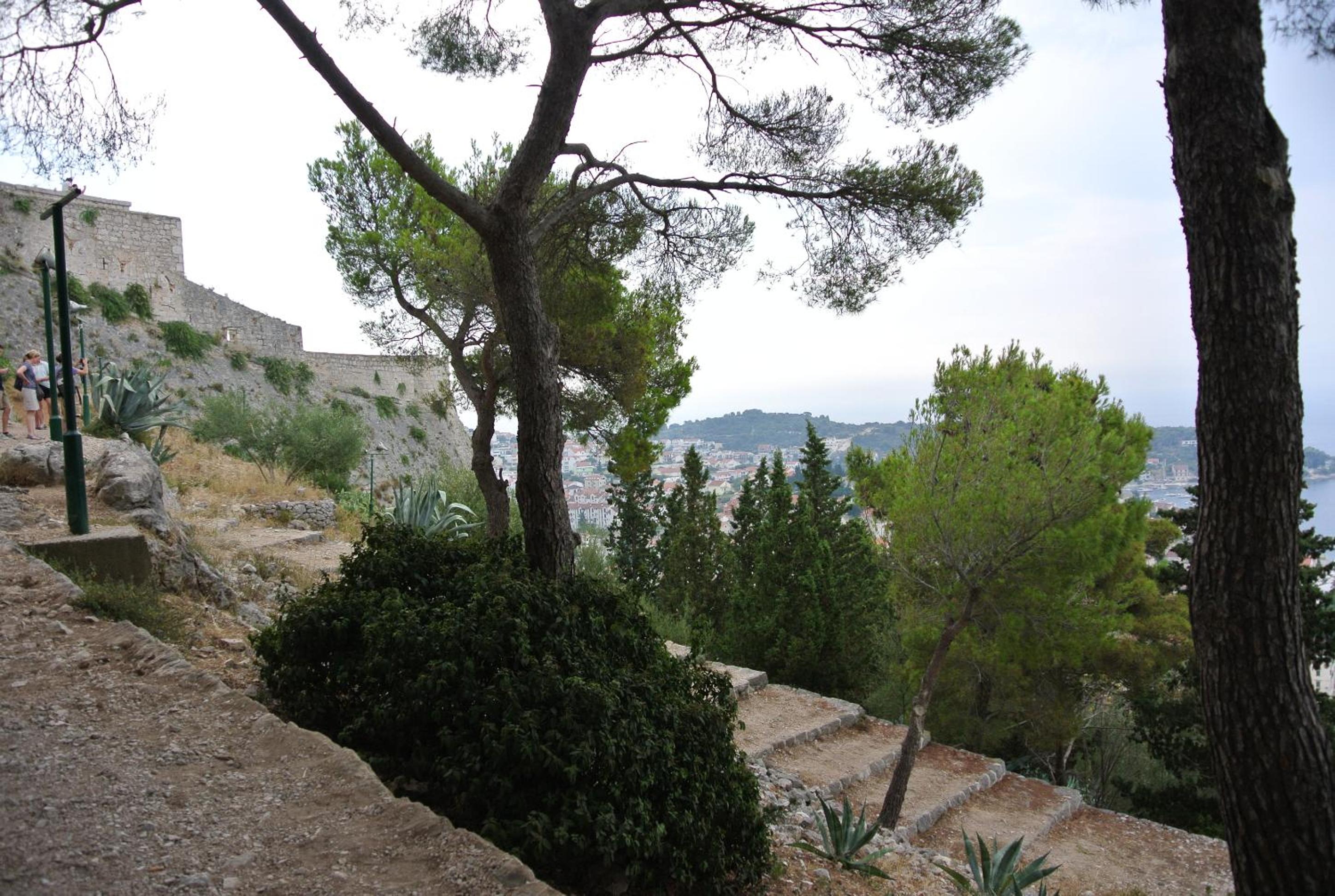 Photo 51