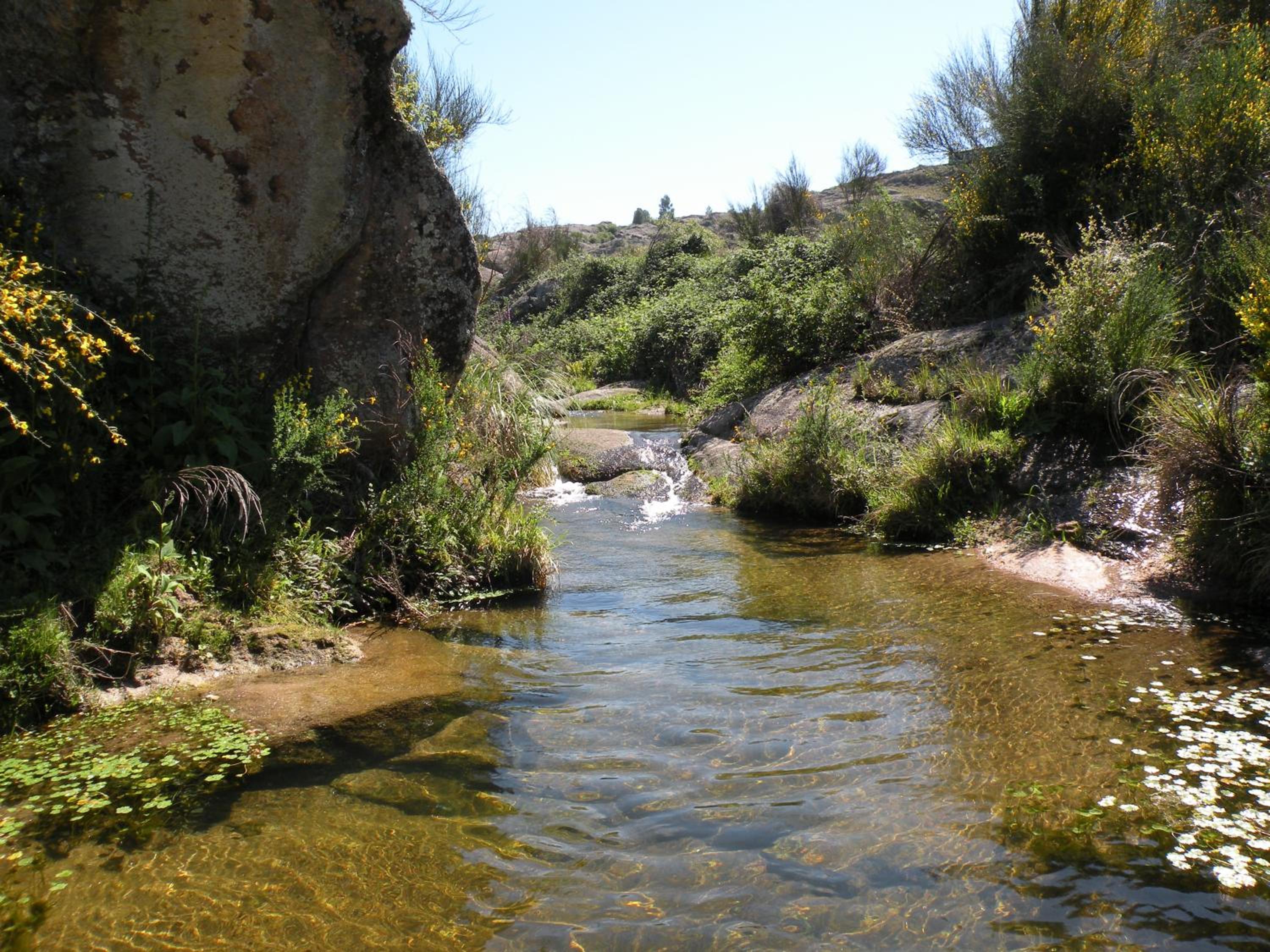 Brisas del Champaquí