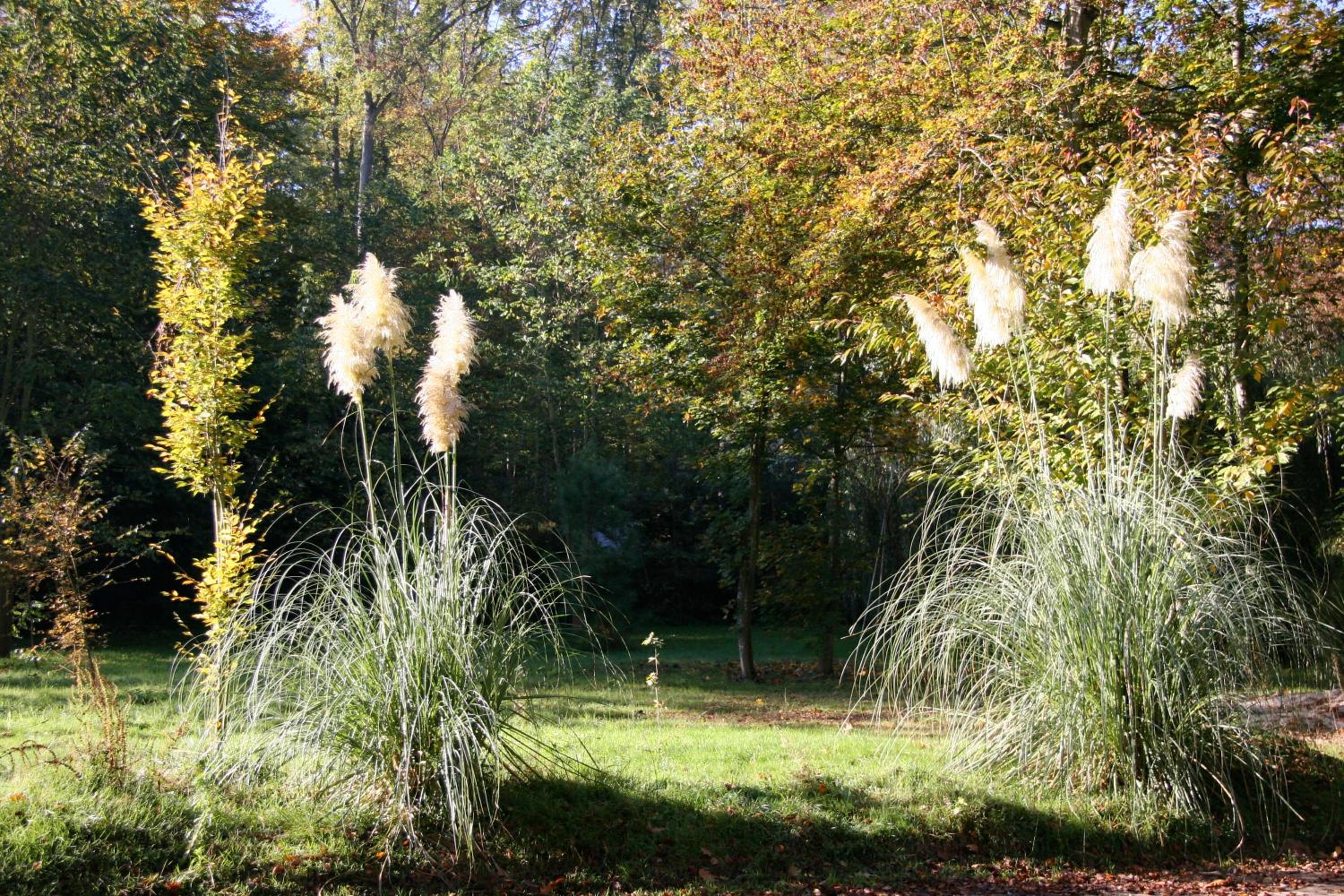 Domaine De Chantemerles