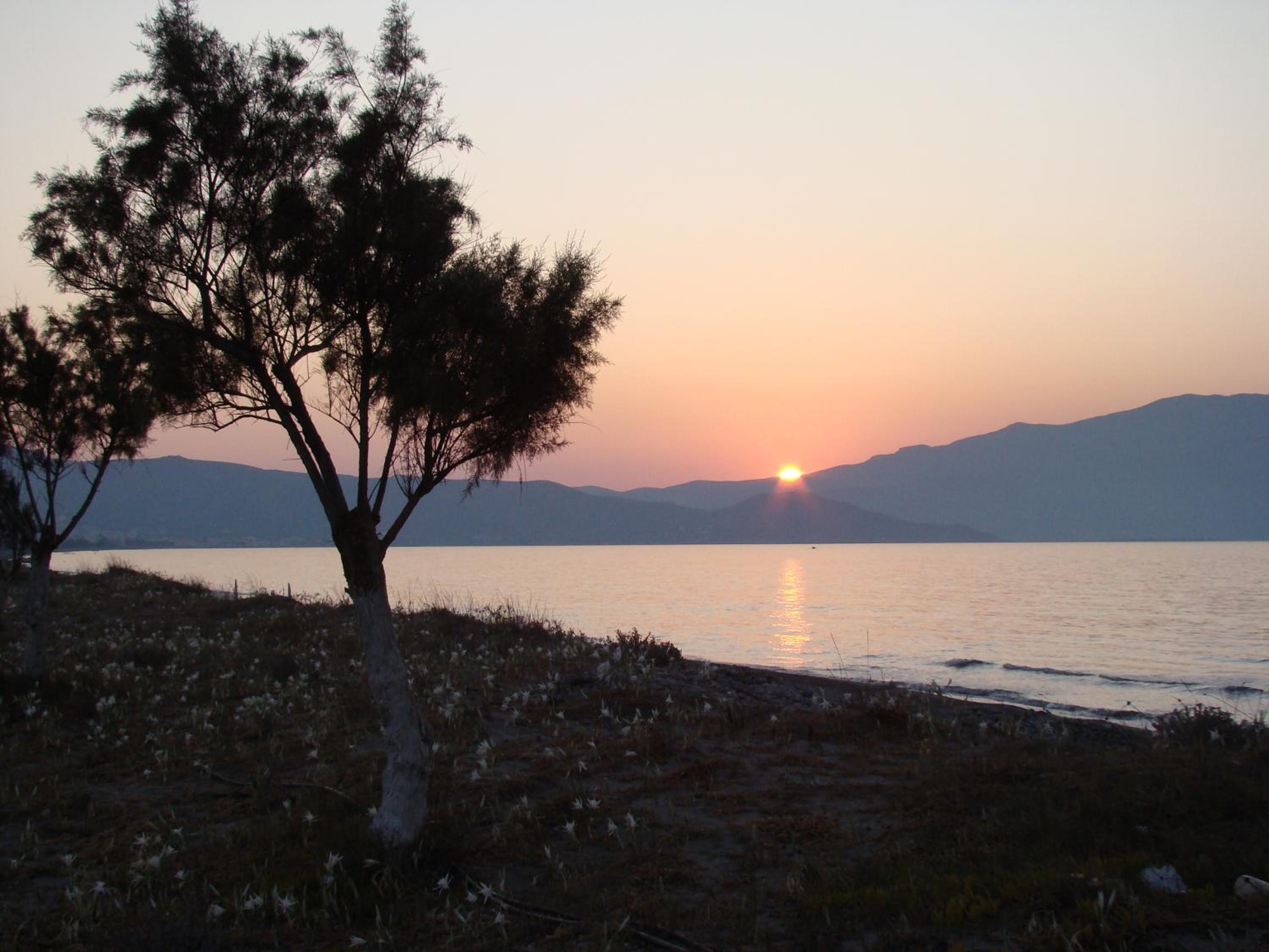 Drapania Beach Marinakis